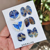 1 Card(6 Pairs) of Natural Sodalite Pairs Cabochon Gemstones | 19-31 mm Size,l - The LabradoriteKing