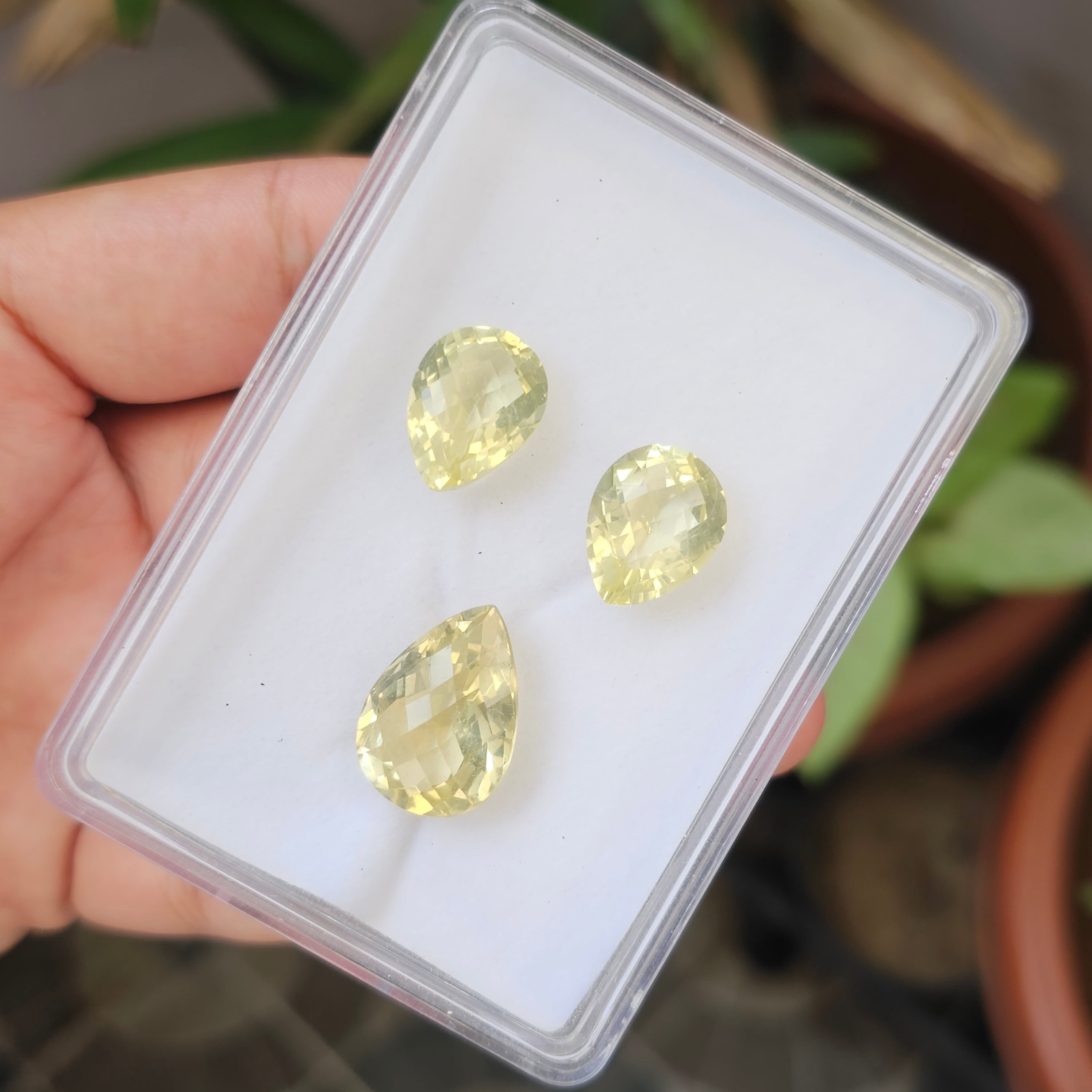 3 Pcs Natural Lemon Quatz Set Pear Shape: 21-16mm - The LabradoriteKing