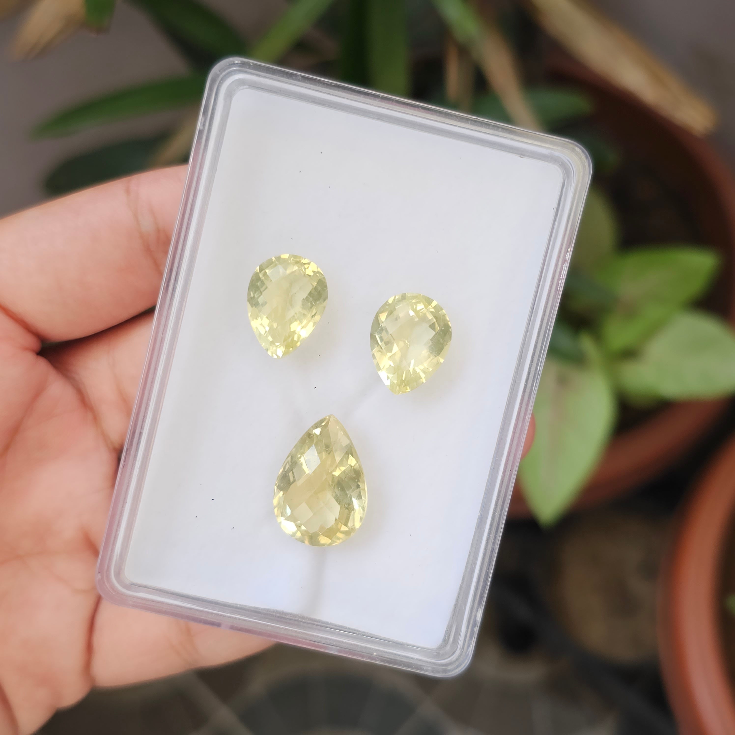 3 Pcs Natural Lemon Quatz Set Pear Shape: 21-16mm - The LabradoriteKing