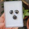 3 Pcs Natural Smoky Quartz Set Fancy Shape:16-14mm - The LabradoriteKing