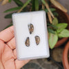 3 Pcs Natural Smoky Quartz Set Fancy Shape:19-17mm - The LabradoriteKing