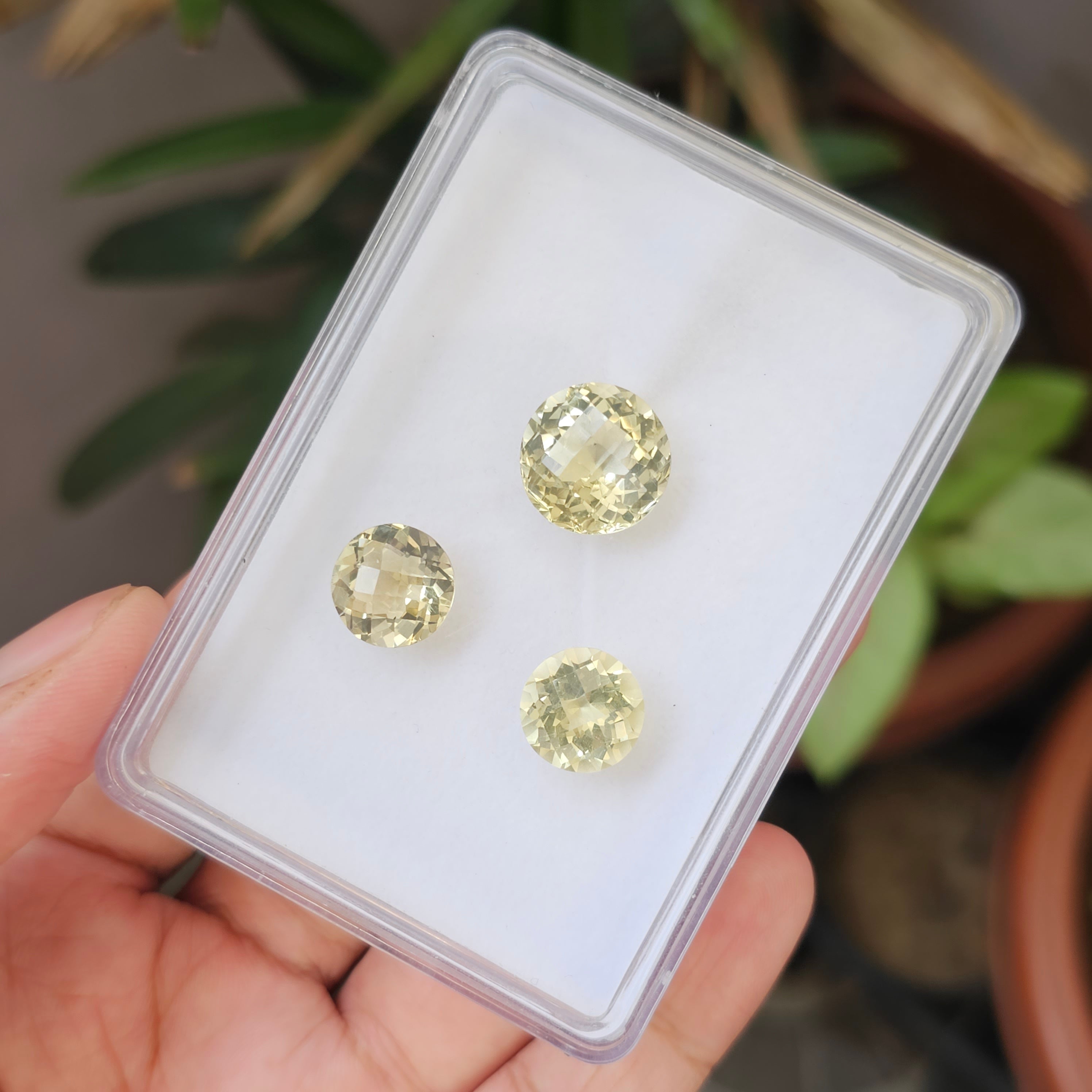 3 Pcs Natural Lemon Quatz Set Round Shape: 15-12mm - The LabradoriteKing