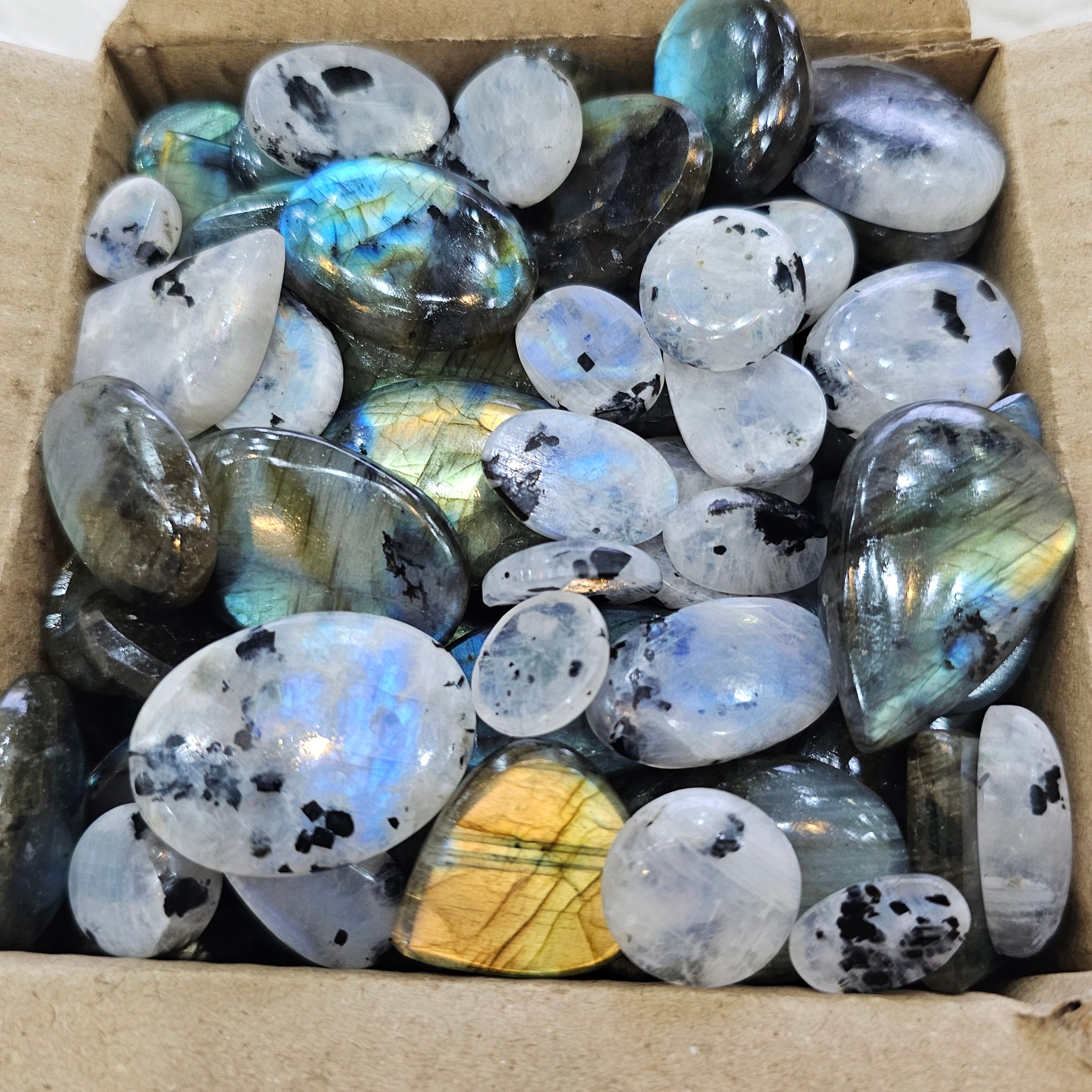 50 pcs Mix Labradorites and Rainbow Moonstone | 15-30mm - The LabradoriteKing