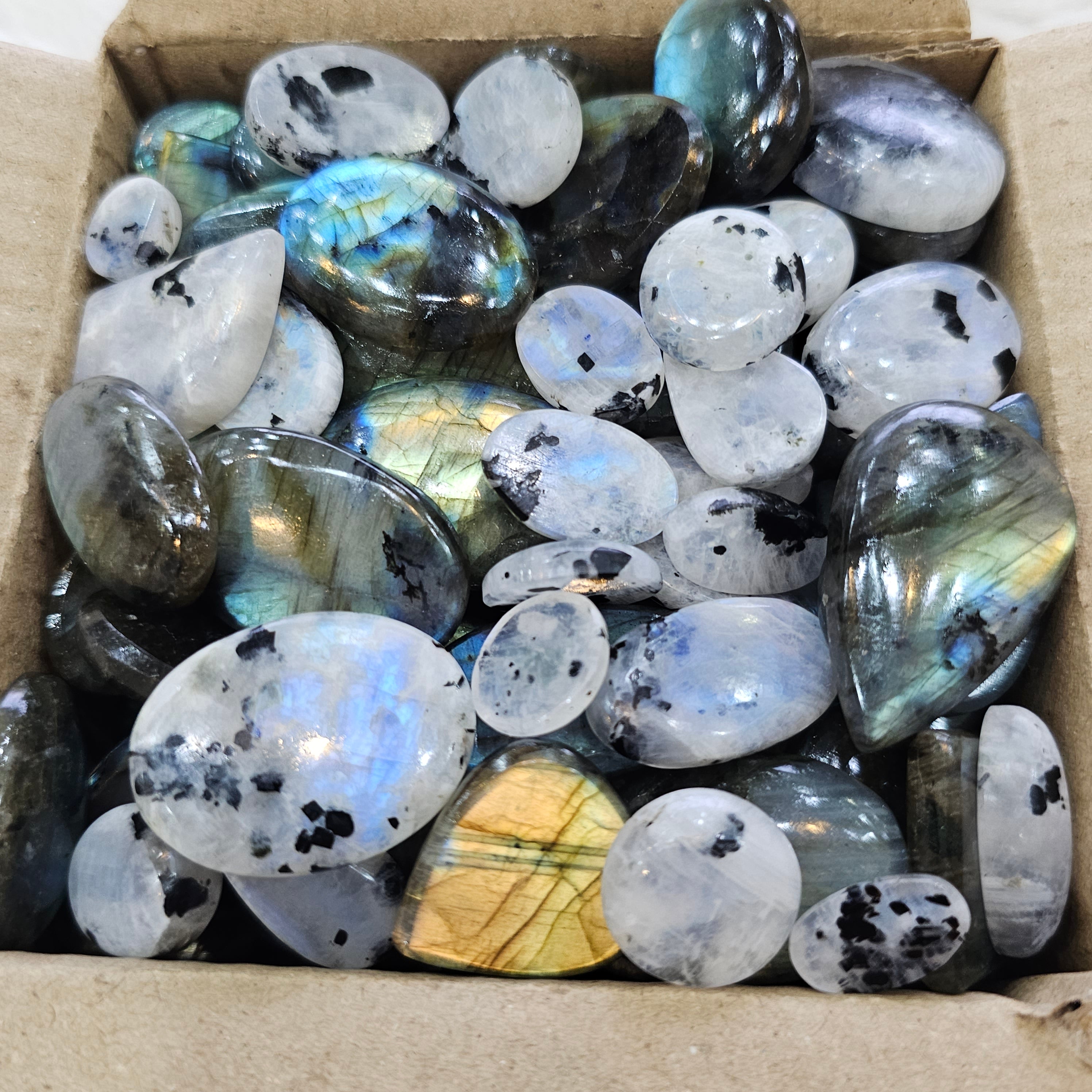 50 pcs Mix Labradorites and Rainbow Moonstone | 15-30mm - The LabradoriteKing