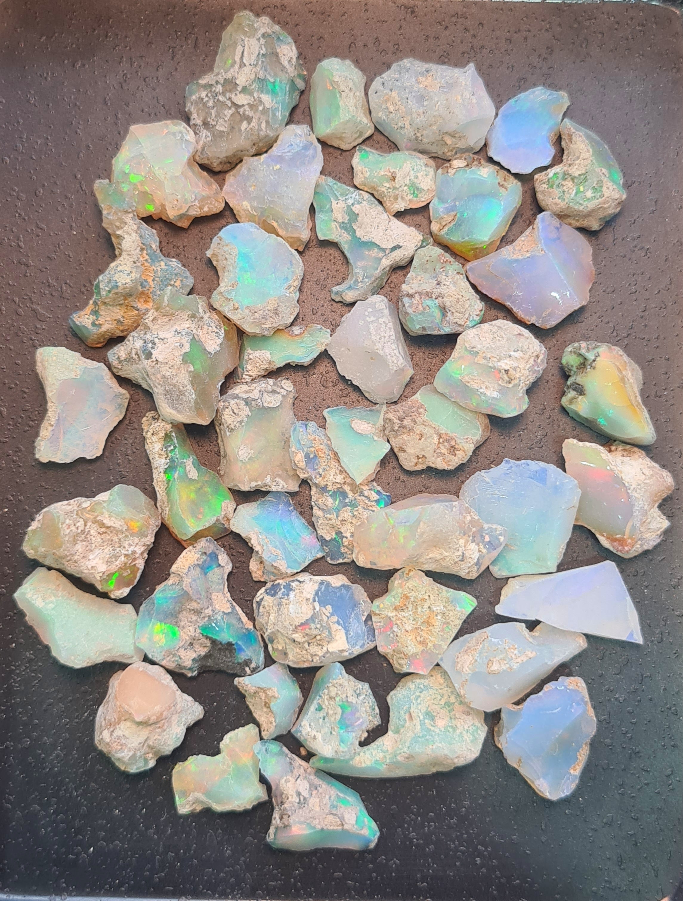 43 Pcs Natural  Ethiopian Opal Rough Gemstone Mix Shape: 9-21mm - The LabradoriteKing