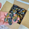Load image into Gallery viewer, 50 Pcs of Blue Tiger Cabochons | 20-50mm | Rare South African - The LabradoriteKing
