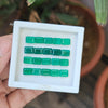 Load image into Gallery viewer, 20 Pcs Natural Green Onyx Gemstone Faceted Rectangle Shape:| Size 6-8mm - The LabradoriteKing