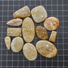 12 Pcs Natural Fossil Jasper Cabochon Gemstone Mix Shape: Size:| 19-46mm - The LabradoriteKing
