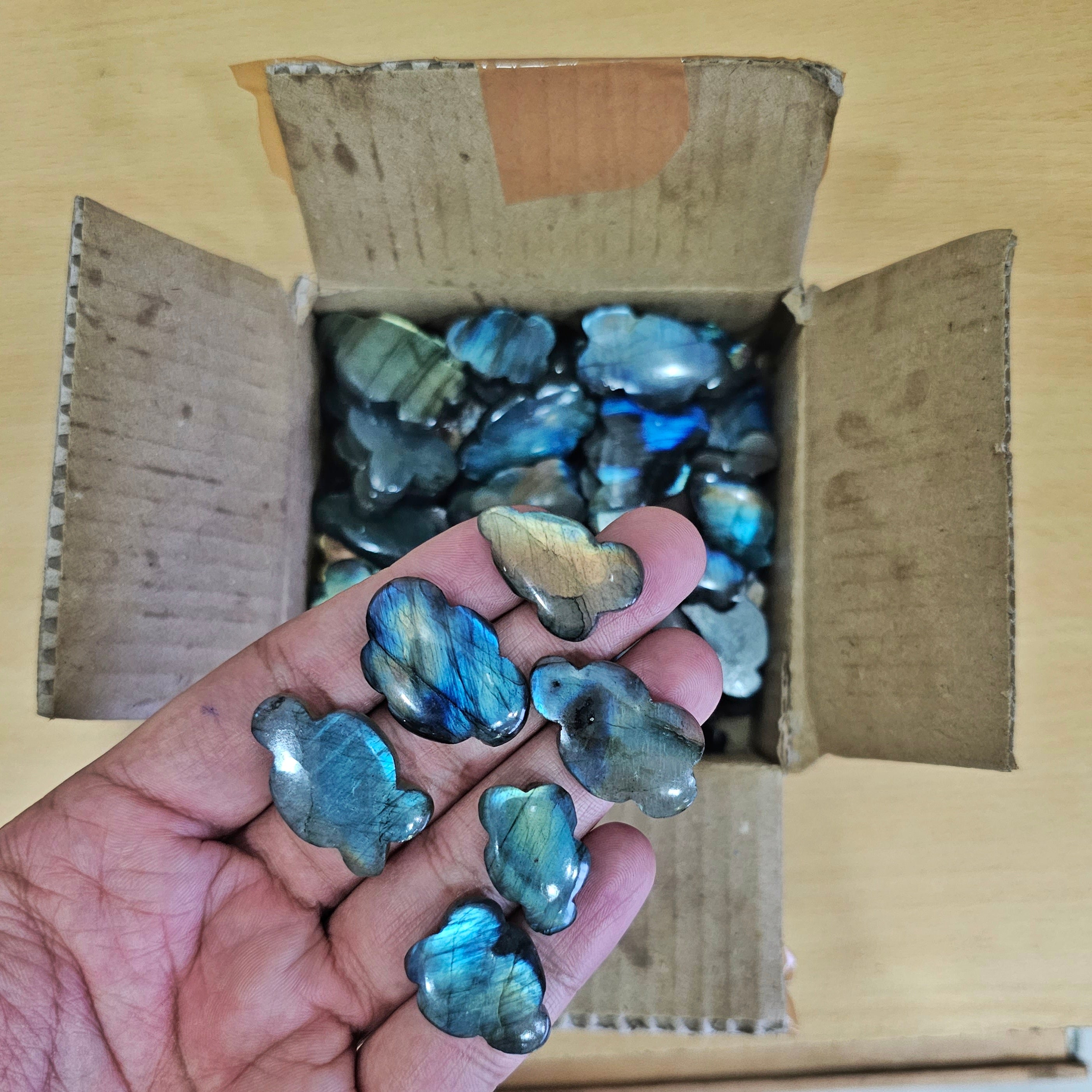 50 Pcs Labradorites Clouds in 20 to 40mm Sizes | Flat Backs - The LabradoriteKing