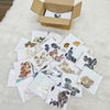 Load image into Gallery viewer, 25 Assorted Cabochons 1 KG Box | Gemstone Box v2 - The LabradoriteKing