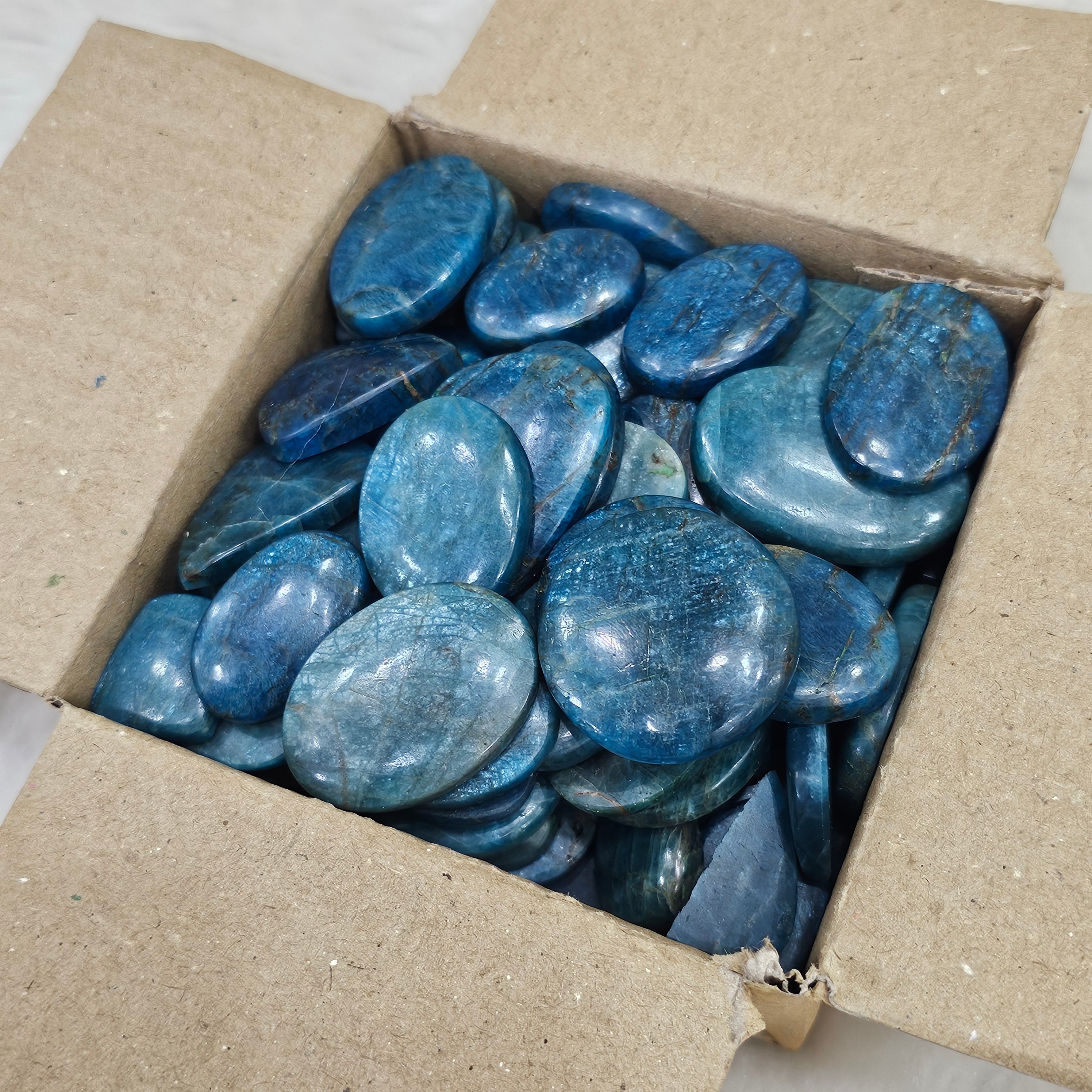 500 Grams Apatite from India | Blue Sheen variant| 40-50Pcs - The LabradoriteKing