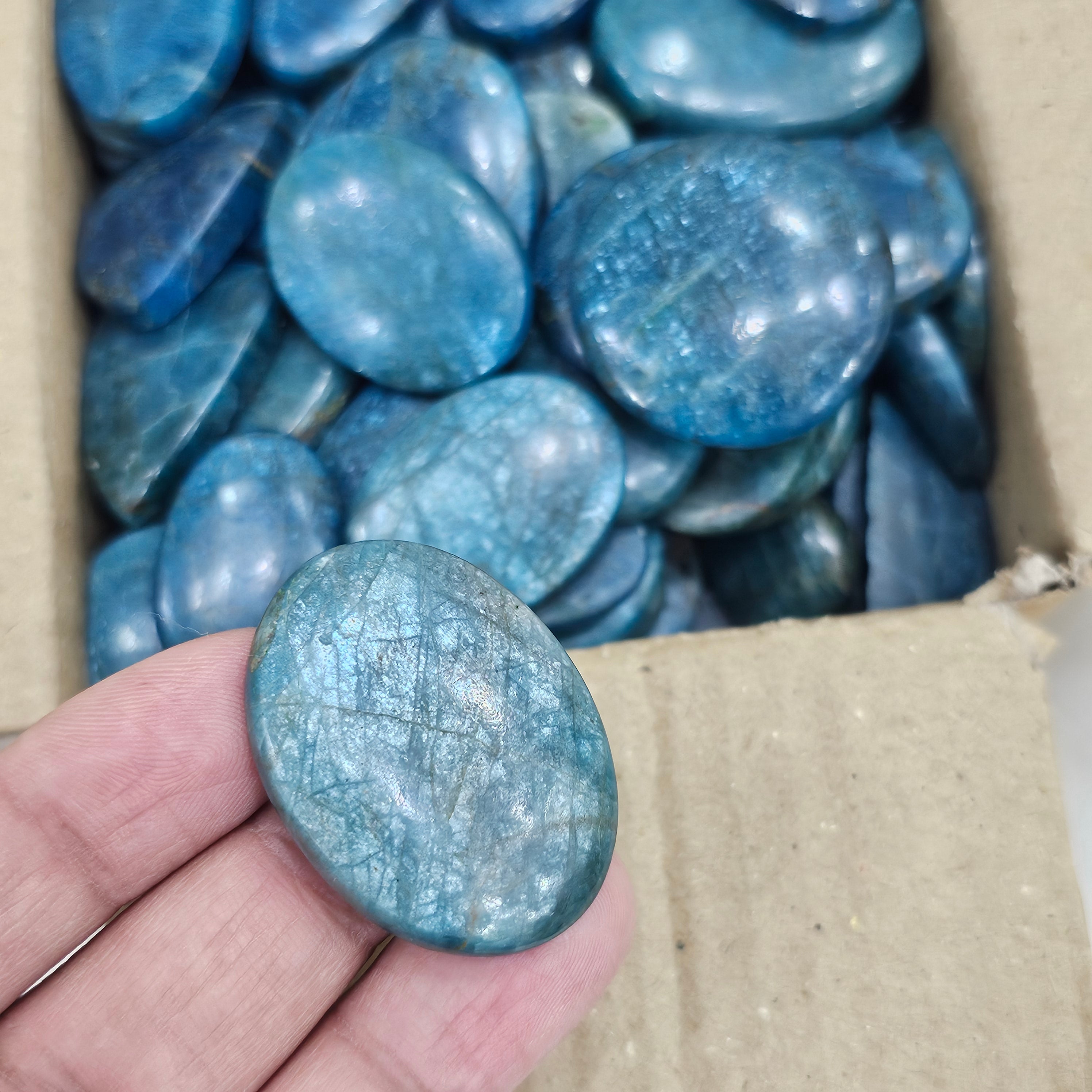 500 Grams Apatite from India | Blue Sheen variant| 40-50Pcs - The LabradoriteKing