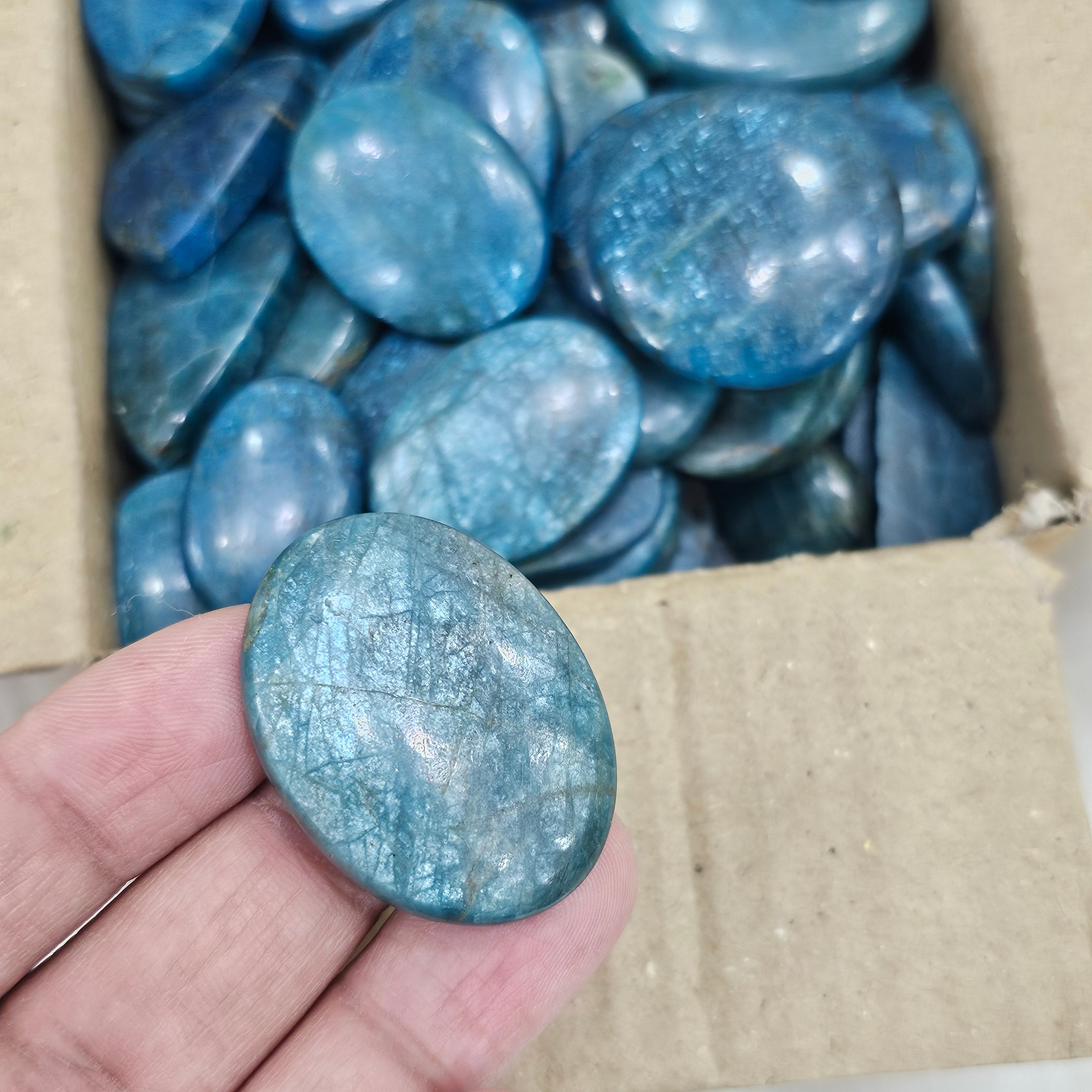 500 Grams Apatite from India | Blue Sheen variant| 40-50Pcs - The LabradoriteKing