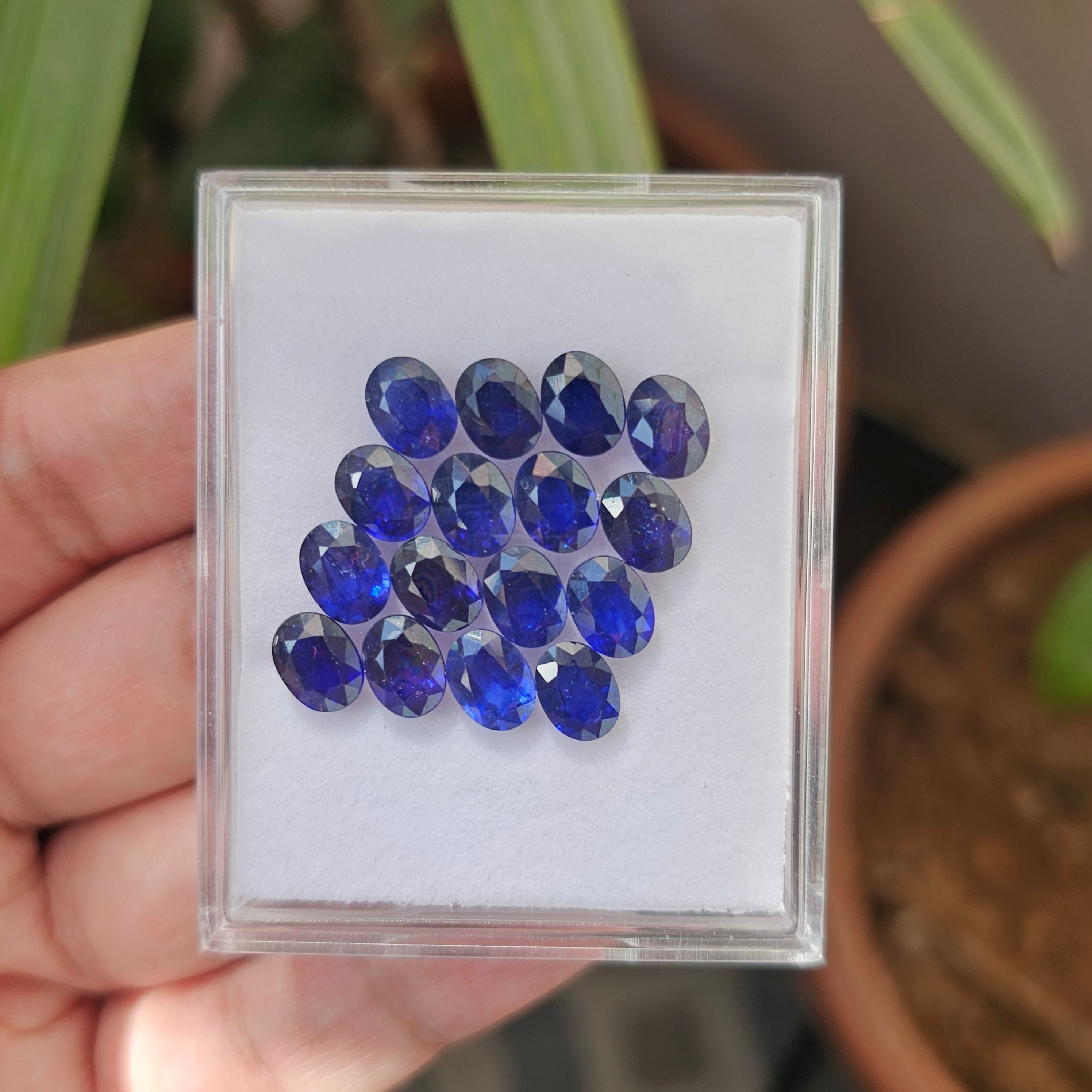 16 Pcs Of Natural Blue Sapphire Faceted |Oval | Size:8x6mm - The LabradoriteKing