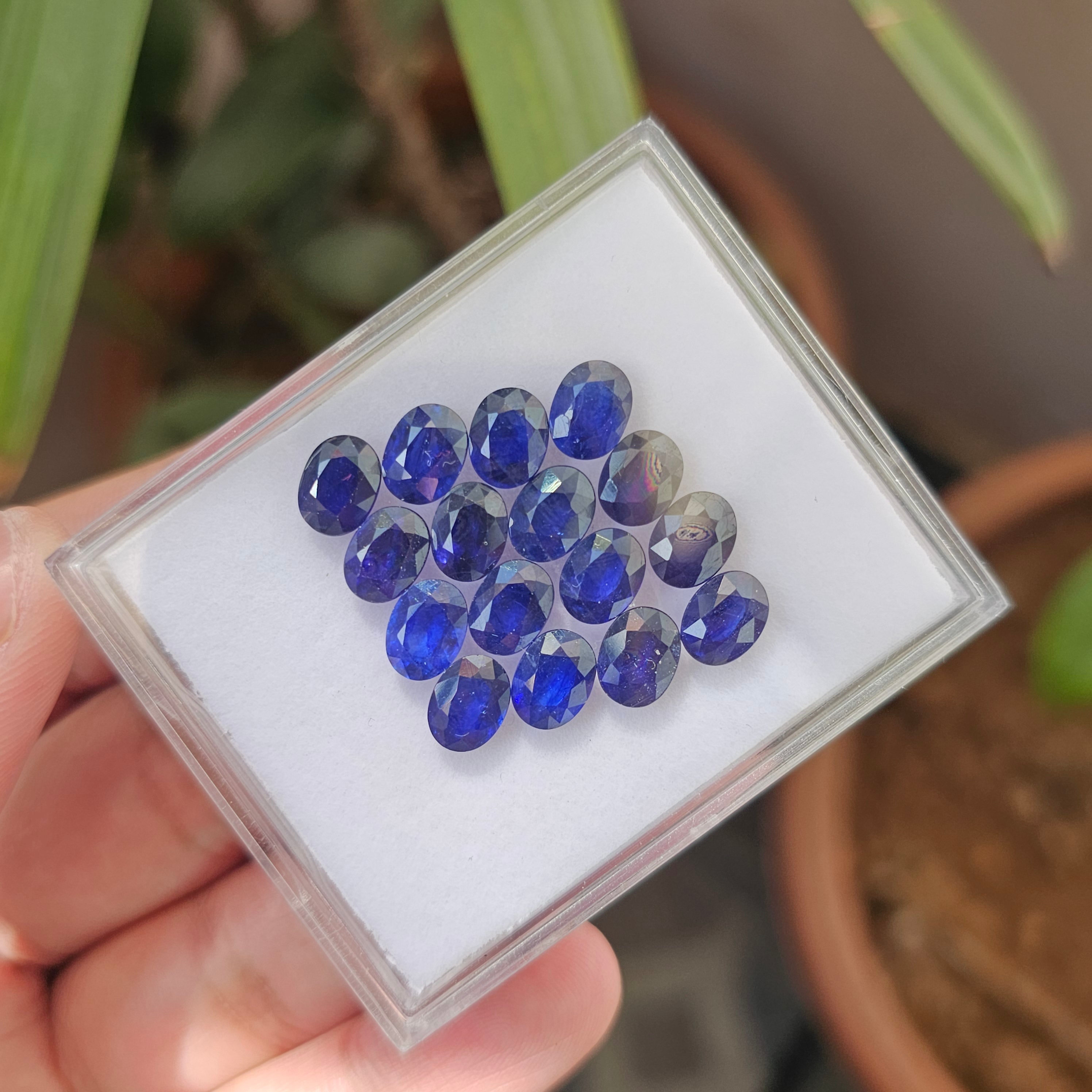 16 Pcs Of Natural Blue Sapphire Faceted |Oval | Size:8x6mm - The LabradoriteKing