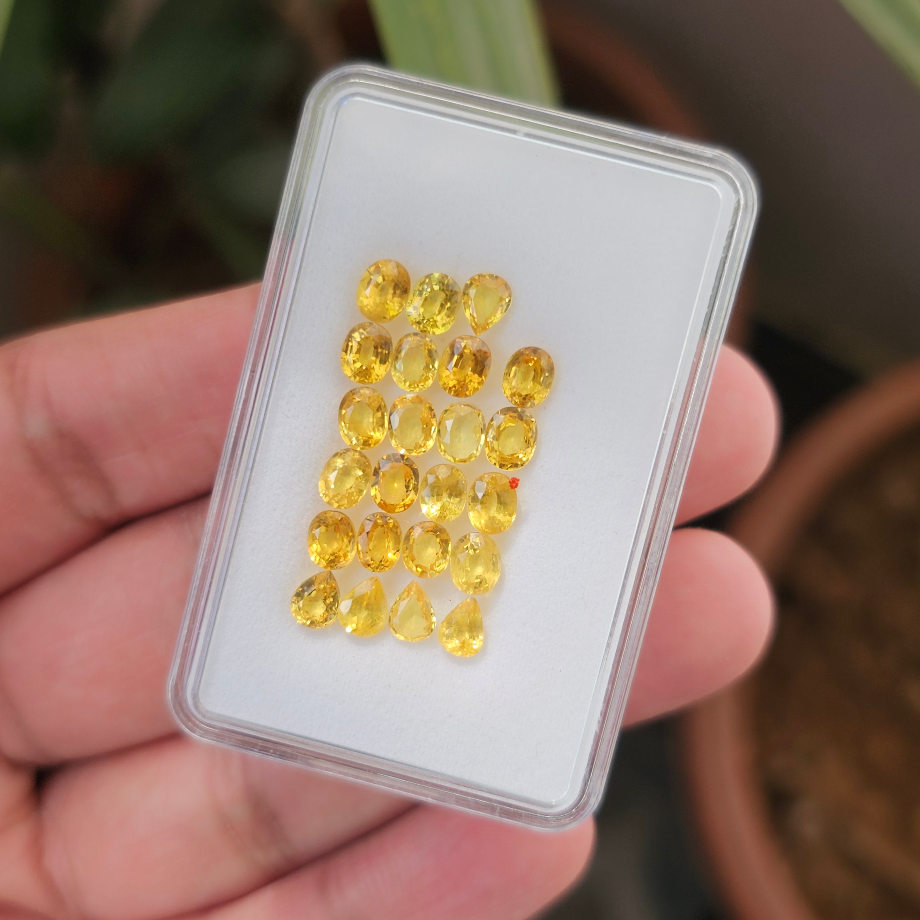 23 Pcs Of Natural Yellow Sapphire Faceted |Pear & Oval|  Size:5x4mm - The LabradoriteKing