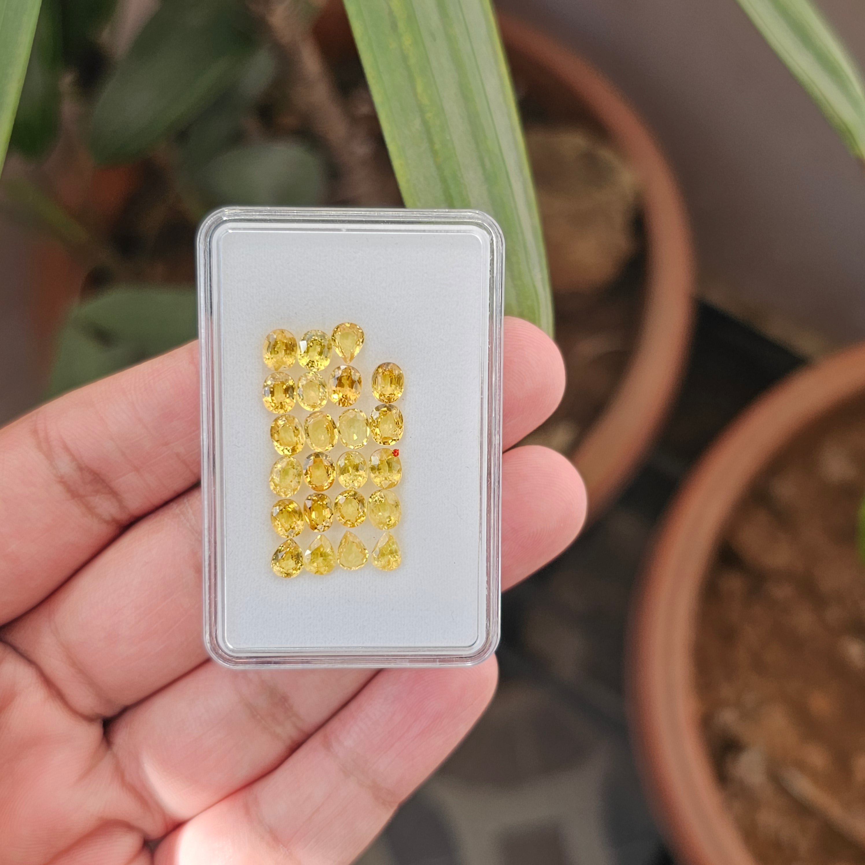 23 Pcs Of Natural Yellow Sapphire Faceted |Pear & Oval|  Size:5x4mm - The LabradoriteKing