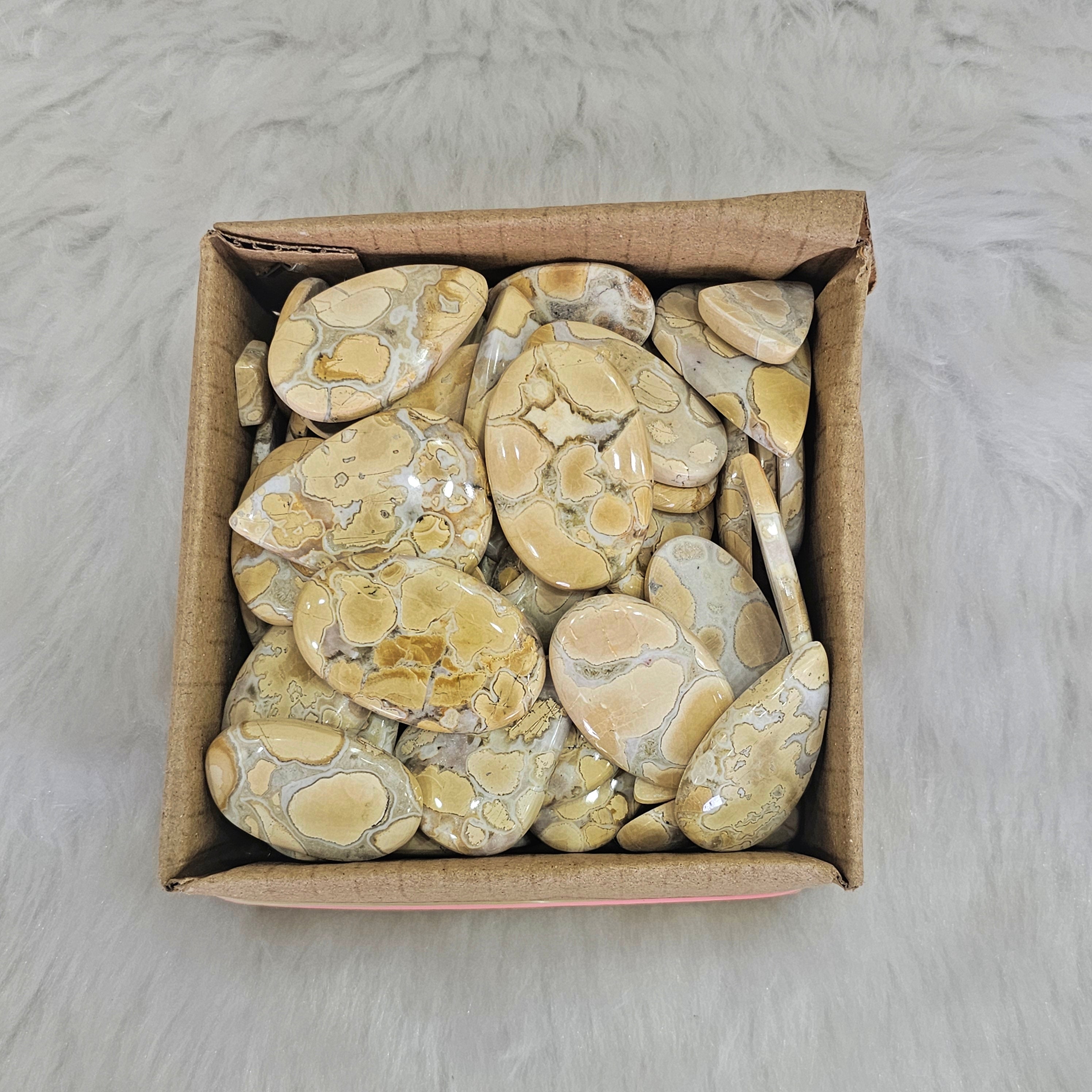 500 Grams Cobra Jasper | Yellow texture | 1"-3" Inches  | 40-50 Pcs - The LabradoriteKing