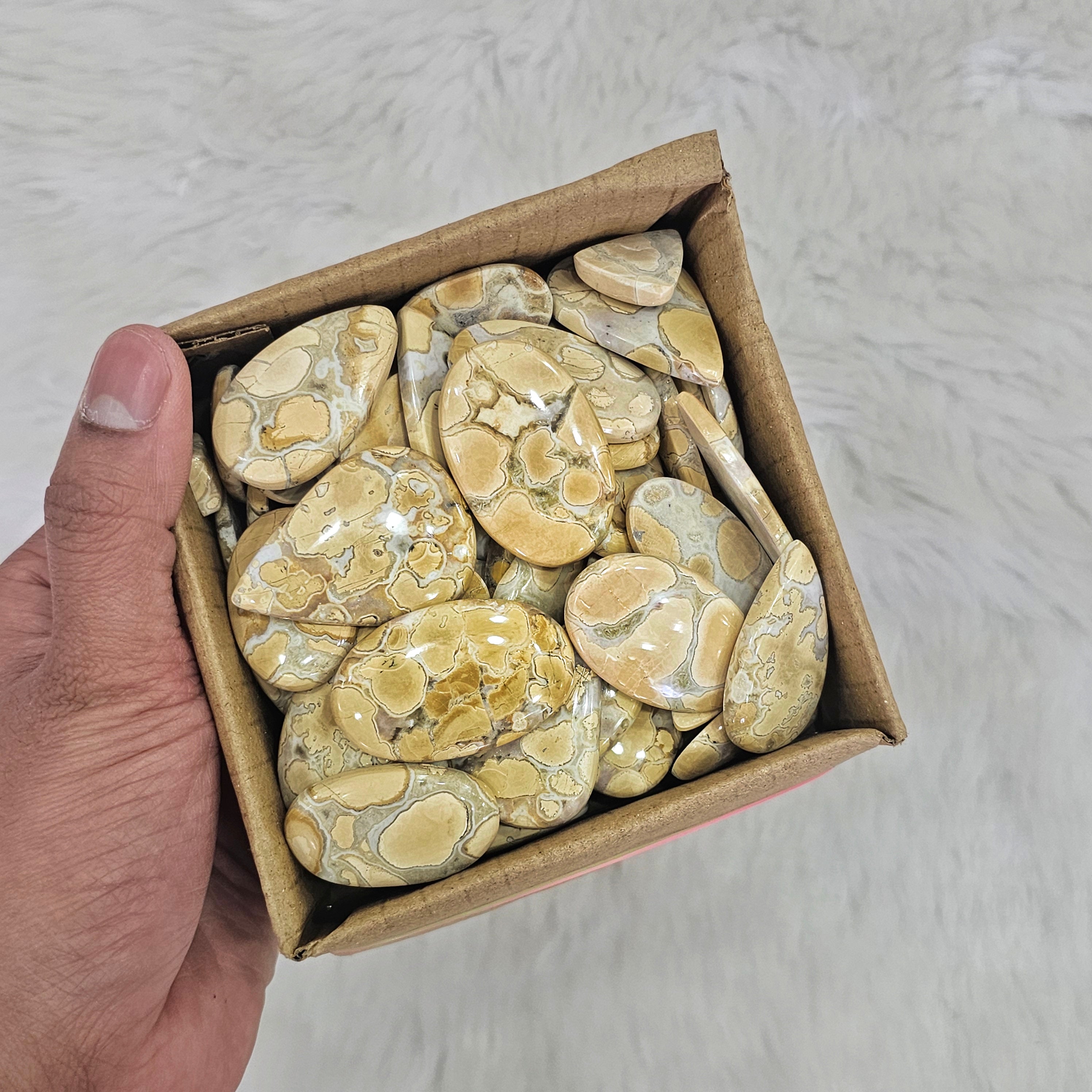 500 Grams Cobra Jasper | Yellow texture | 1"-3" Inches  | 40-50 Pcs - The LabradoriteKing