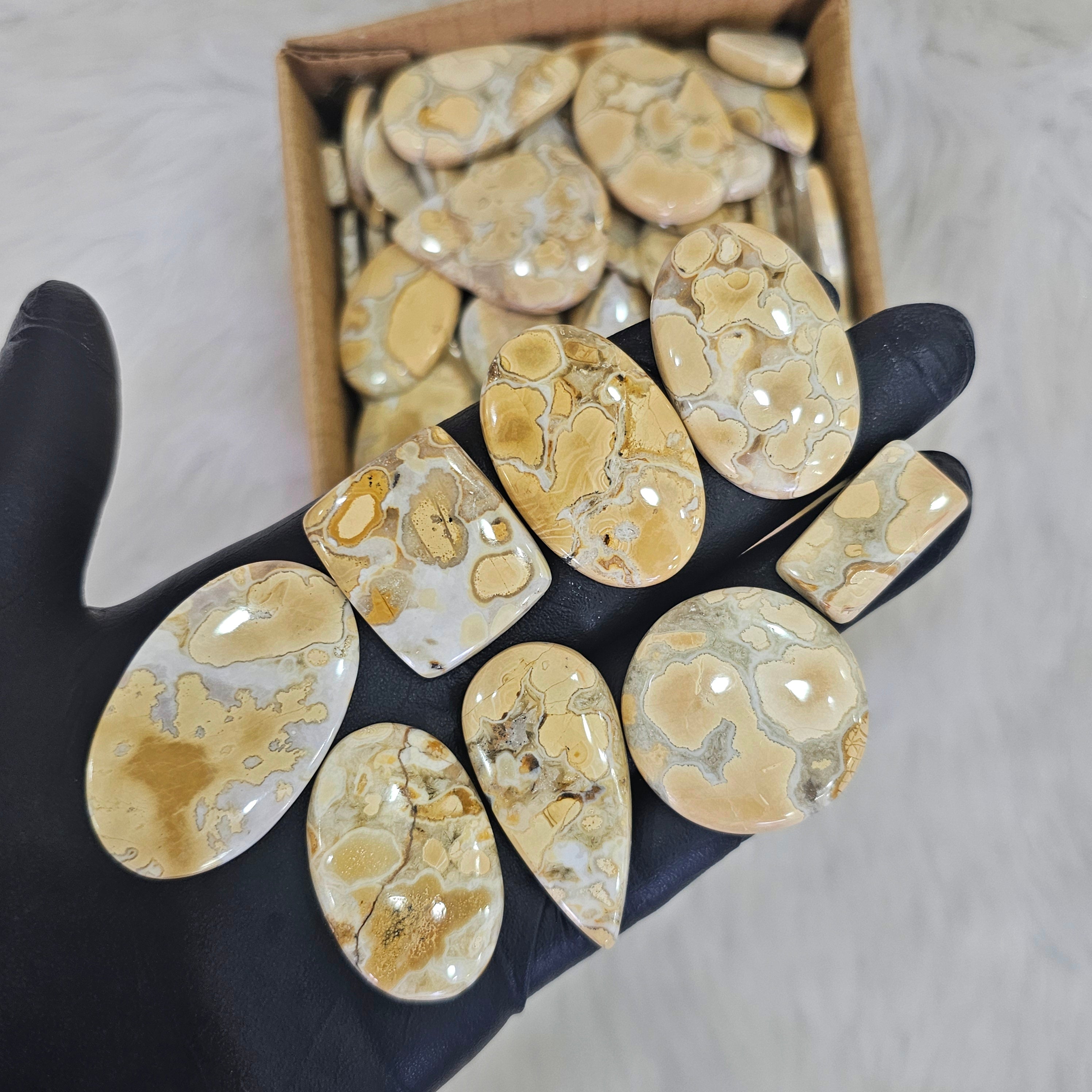 500 Grams Cobra Jasper | Yellow texture | 1"-3" Inches  | 40-50 Pcs - The LabradoriteKing