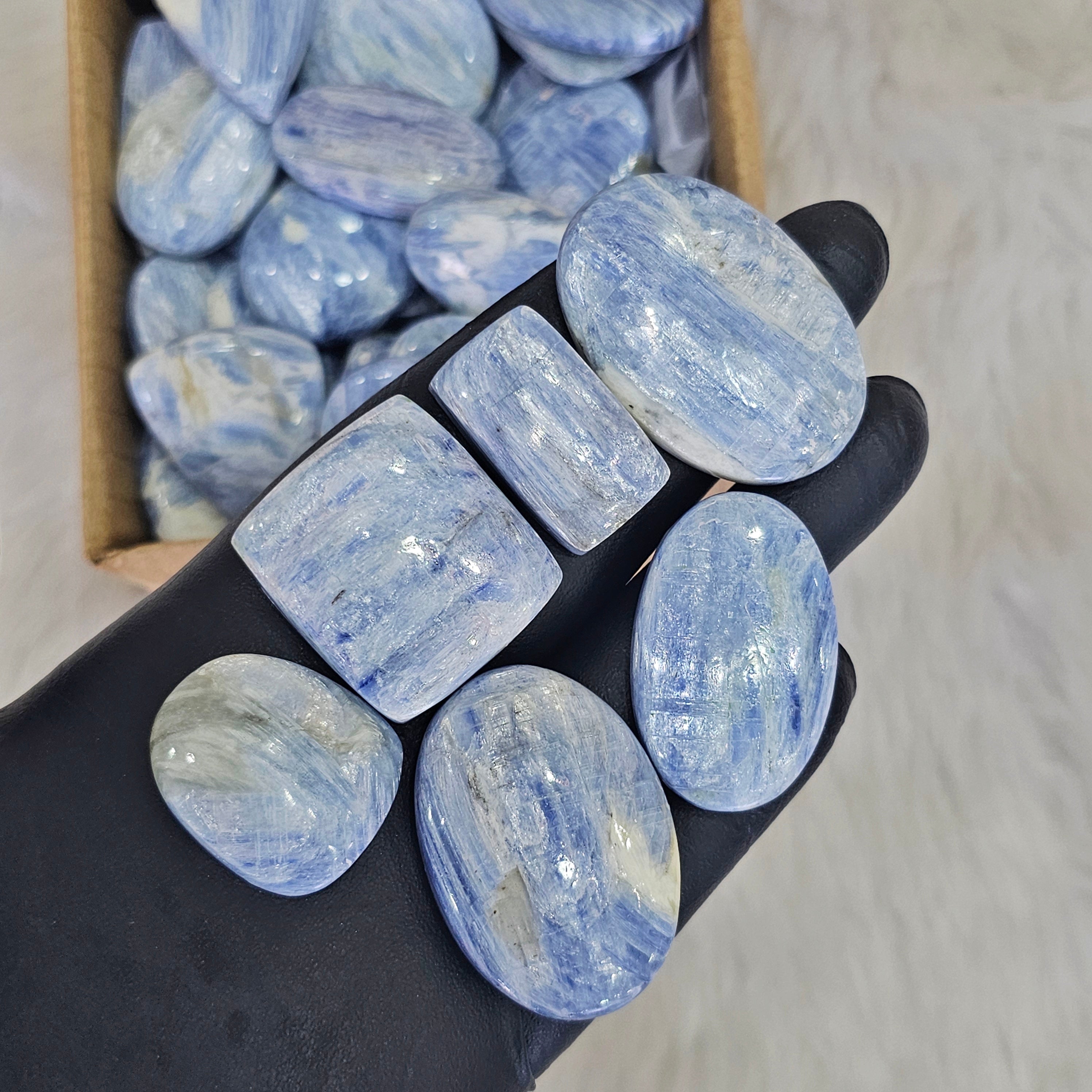 500 Grams of Kyanites Blue | 20-30 Pcs Approx |  1" - 3" Inches - The LabradoriteKing