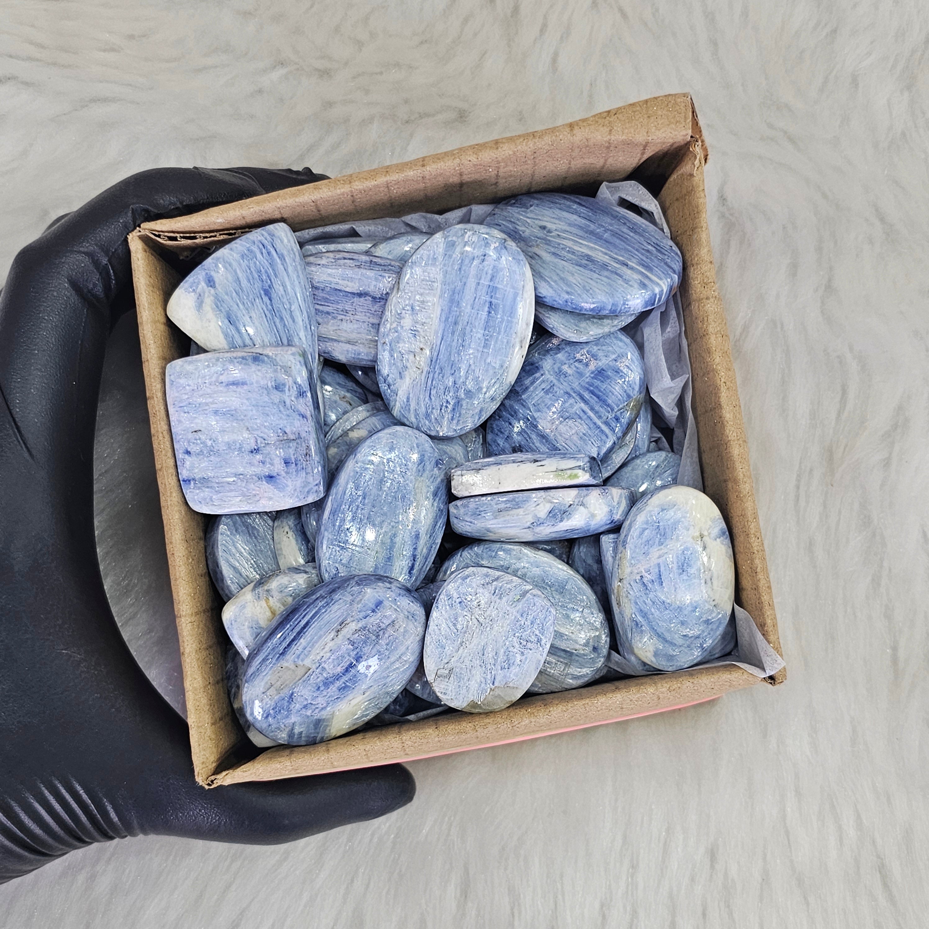 500 Grams of Kyanites Blue | 20-30 Pcs Approx |  1" - 3" Inches - The LabradoriteKing