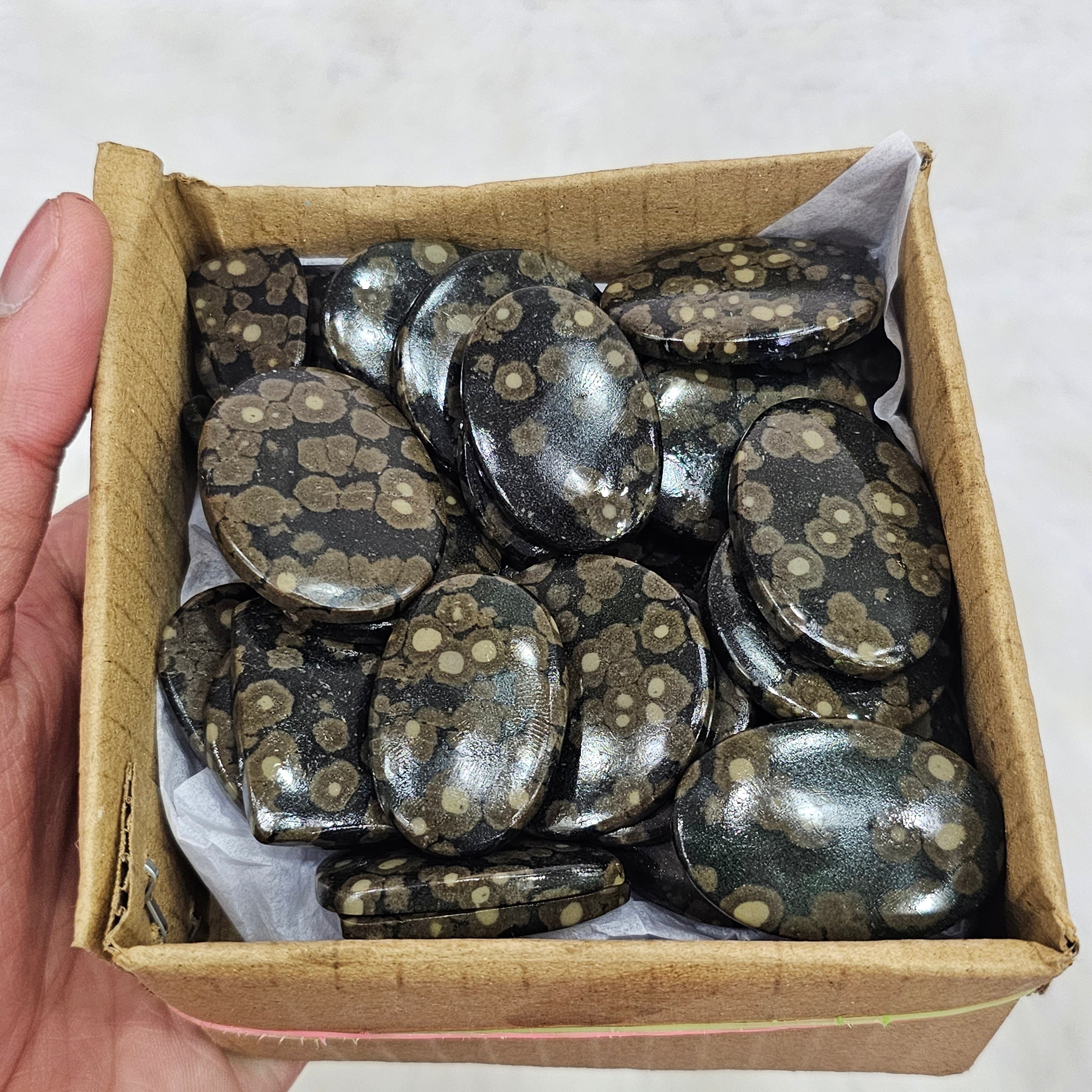 500 Gram of Scapolite Mica | 40 Pcs Approx | 1" to 3" Inches - The LabradoriteKing