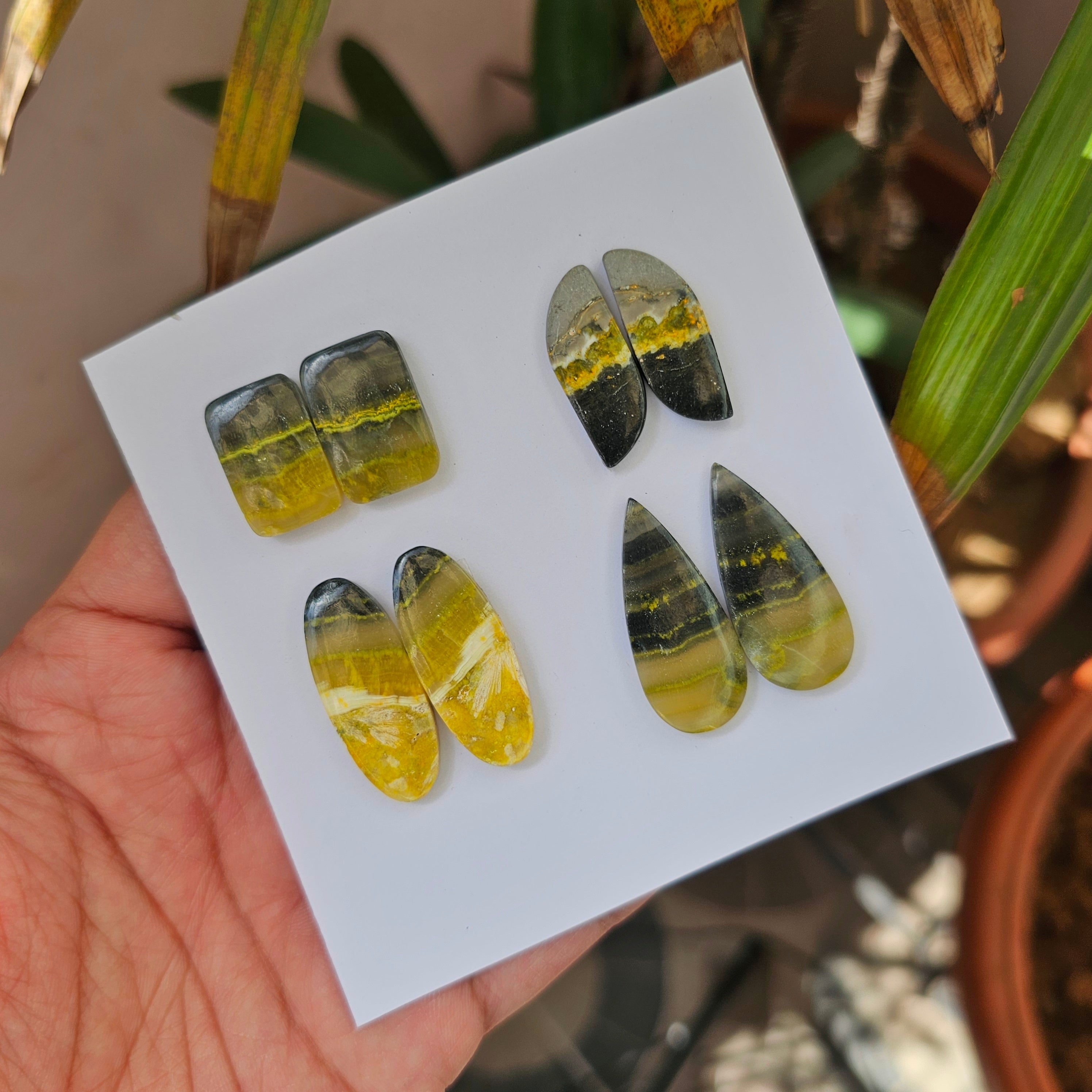 1 Card Of Natural Bumblebee Cabochon| Shape: Mix| Size:21-32mm - The LabradoriteKing