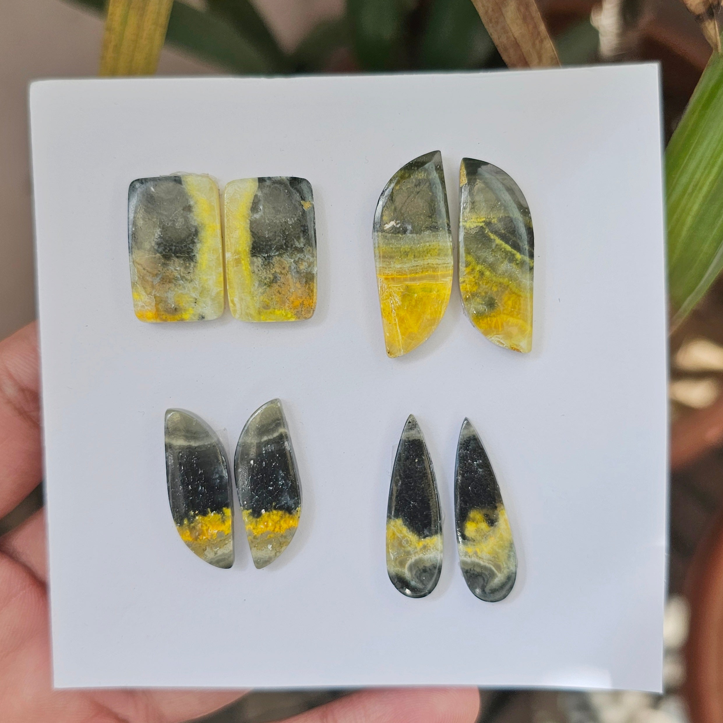 1 Card Of Natural Bumblebee Cabochon| Shape: Mix| Size:21-32mm - The LabradoriteKing