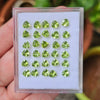 30 Pcs Of Natural Peridot Faceted | Shape: Trillion| Size: 5mm - The LabradoriteKing