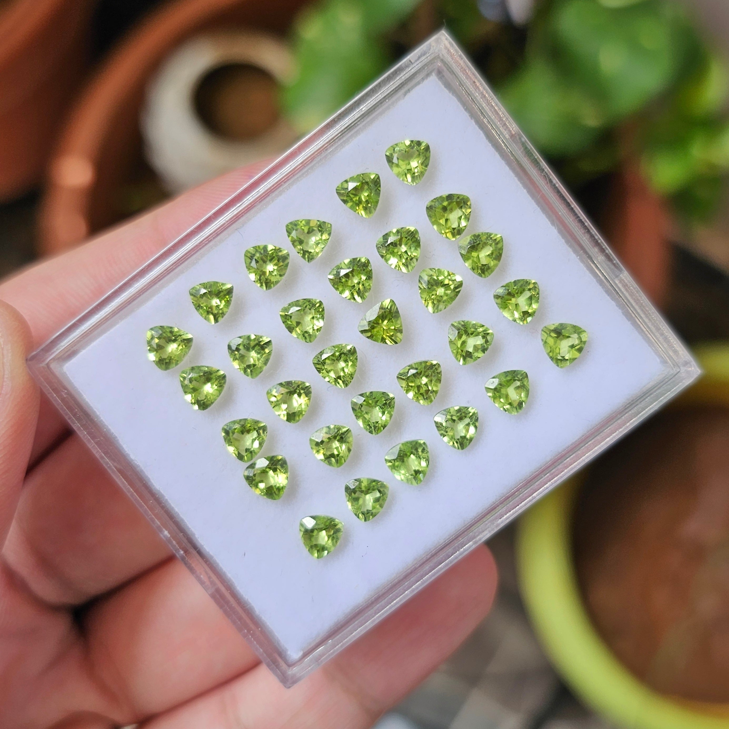 30 Pcs Of Natural Peridot Faceted | Shape: Trillion| Size: 5mm - The LabradoriteKing