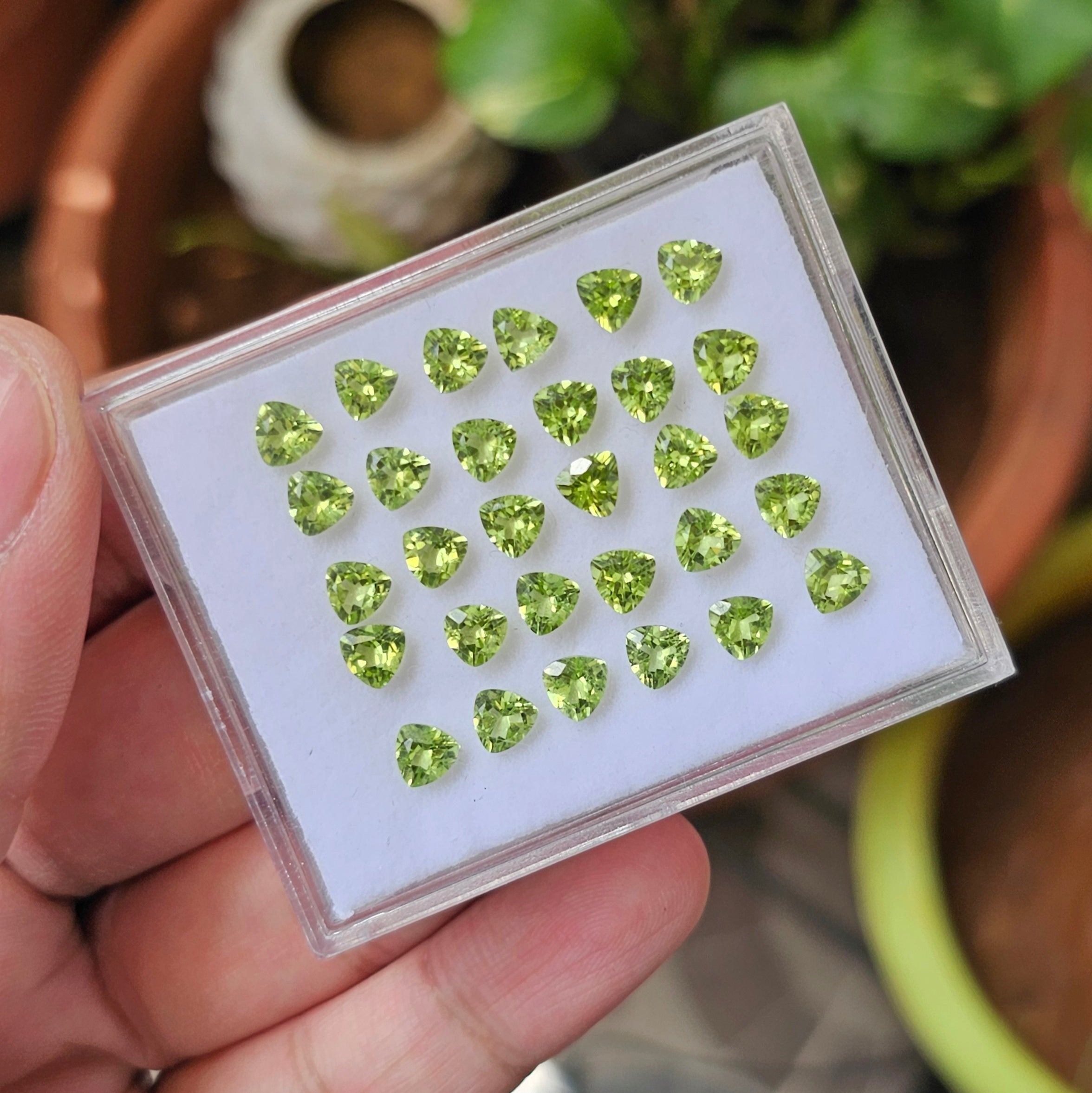 30 Pcs Of Natural Peridot Faceted | Shape: Trillion| Size: 5mm - The LabradoriteKing