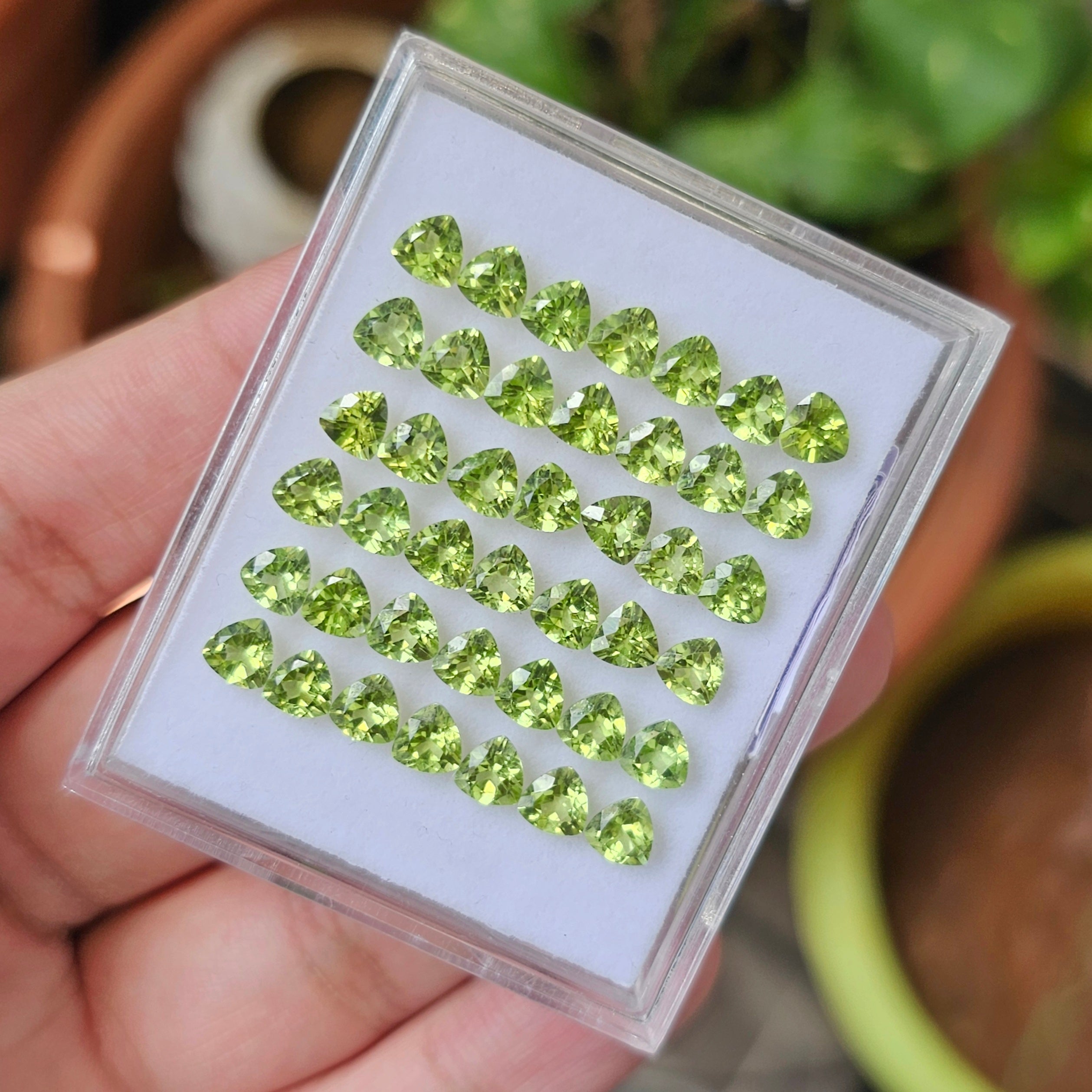 30 Pcs Of Natural Peridot Faceted | Shape: Trillion| Size: 5 mm | Top quality - The LabradoriteKing