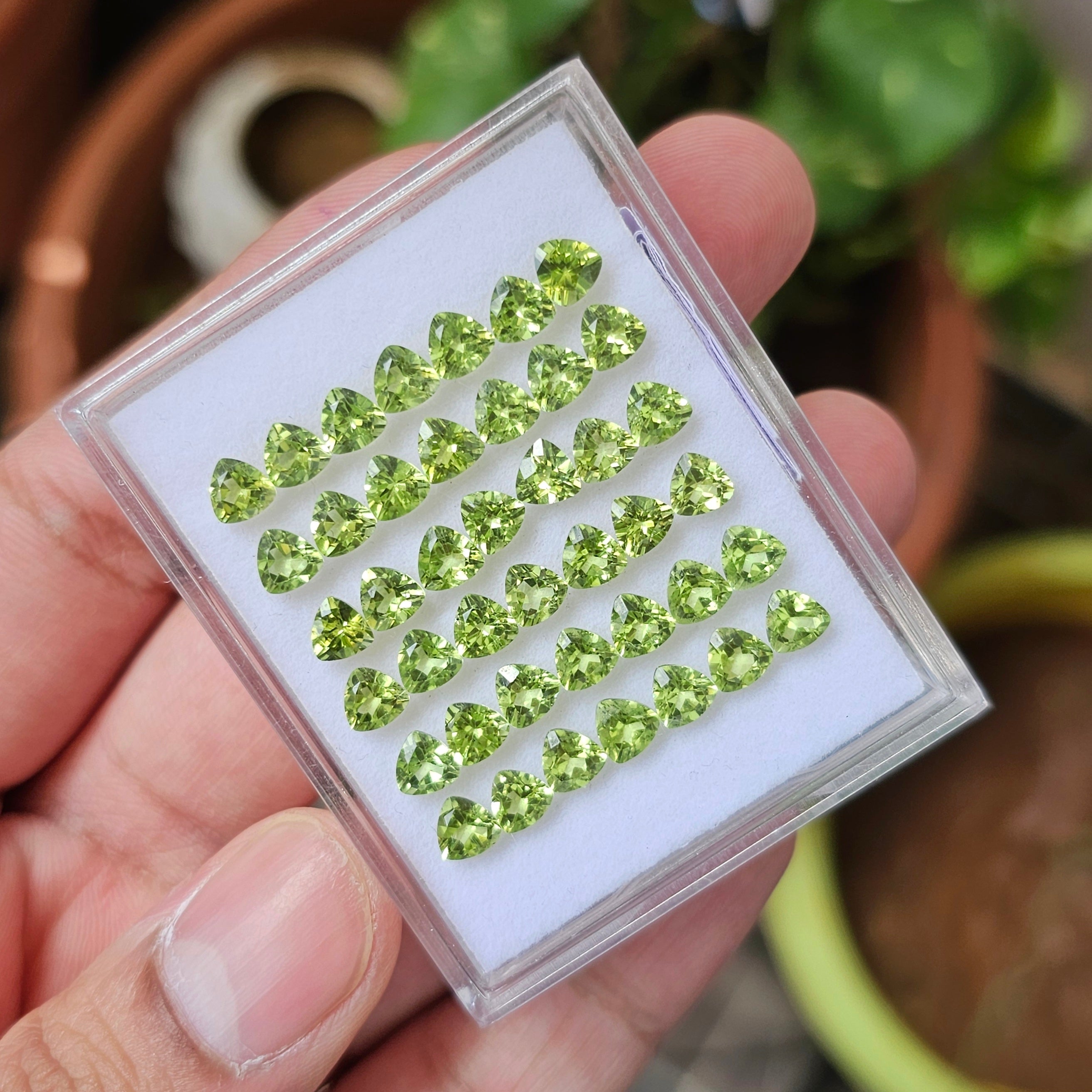 30 Pcs Of Natural Peridot Faceted | Shape: Trillion| Size: 5 mm | Top quality - The LabradoriteKing