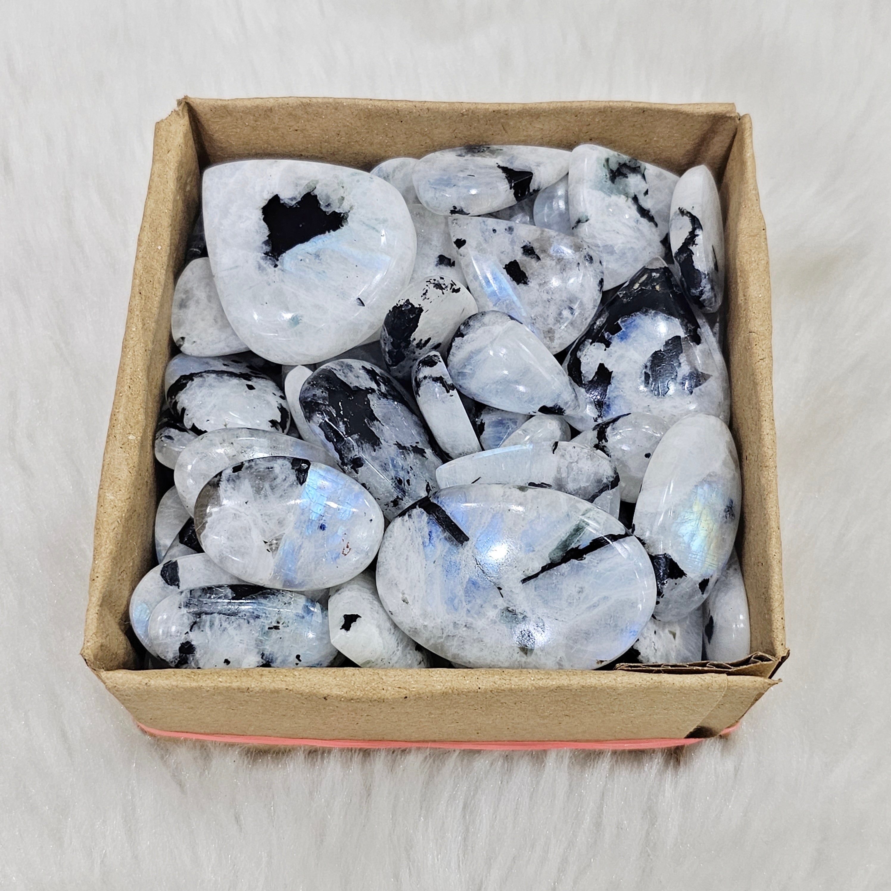 500Gram/ 1KG of Rainbow Moonstone with black Tourmaline Cabochon | Blue Flashs | 1" to 2" Inches | 90-110Pcs - The LabradoriteKing