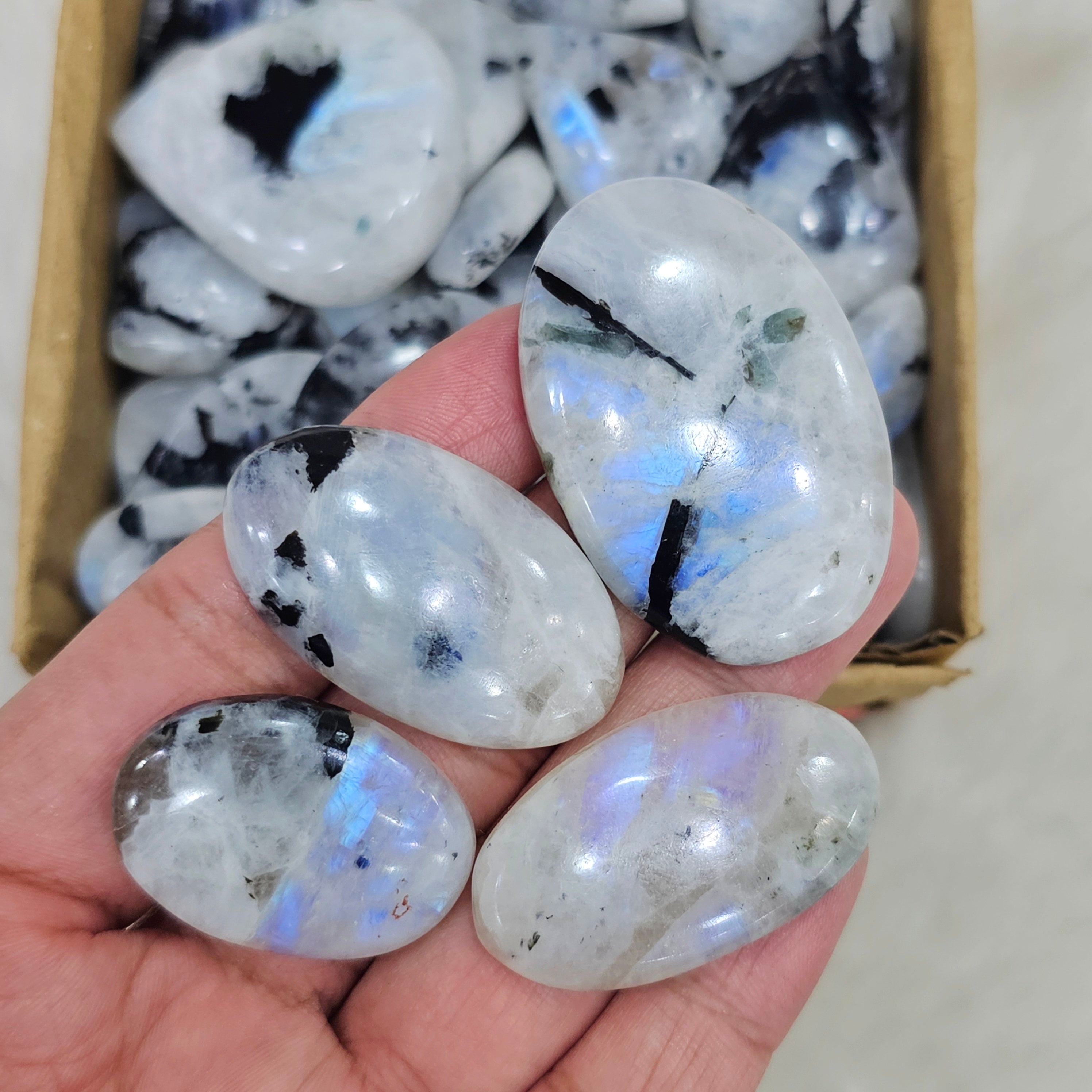 500Gram/ 1KG of Rainbow Moonstone with black Tourmaline Cabochon | Blue Flashs | 1" to 2" Inches | 90-110Pcs - The LabradoriteKing