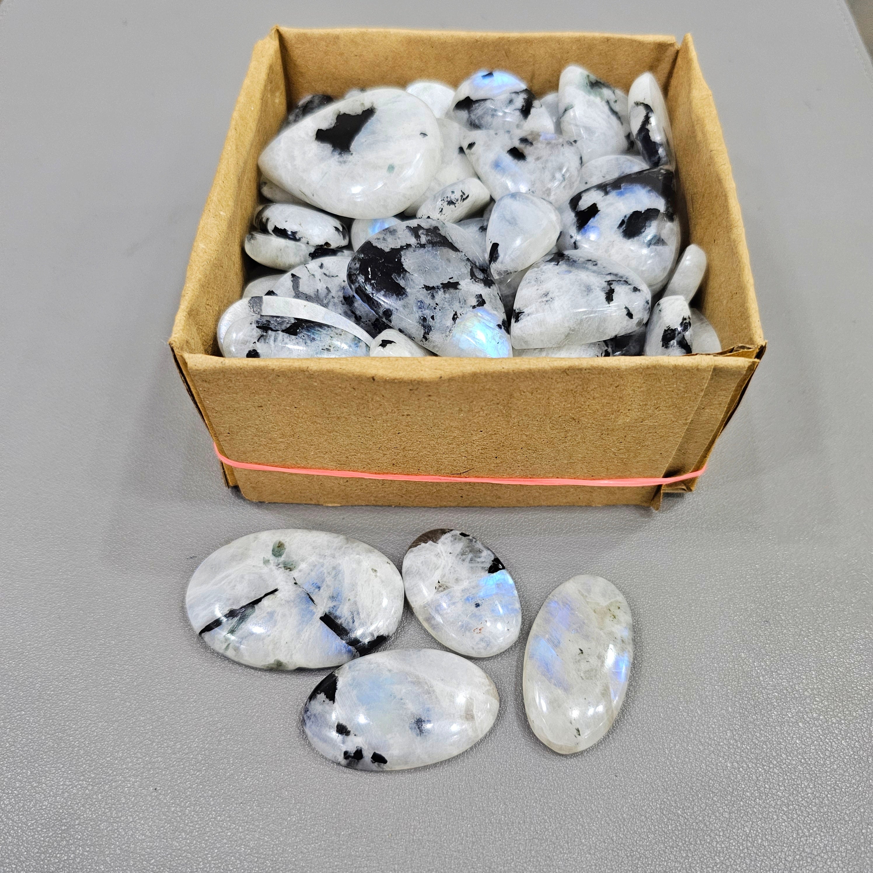 500Gram/ 1KG of Rainbow Moonstone with black Tourmaline Cabochon | Blue Flashs | 1" to 2" Inches | 90-110Pcs - The LabradoriteKing