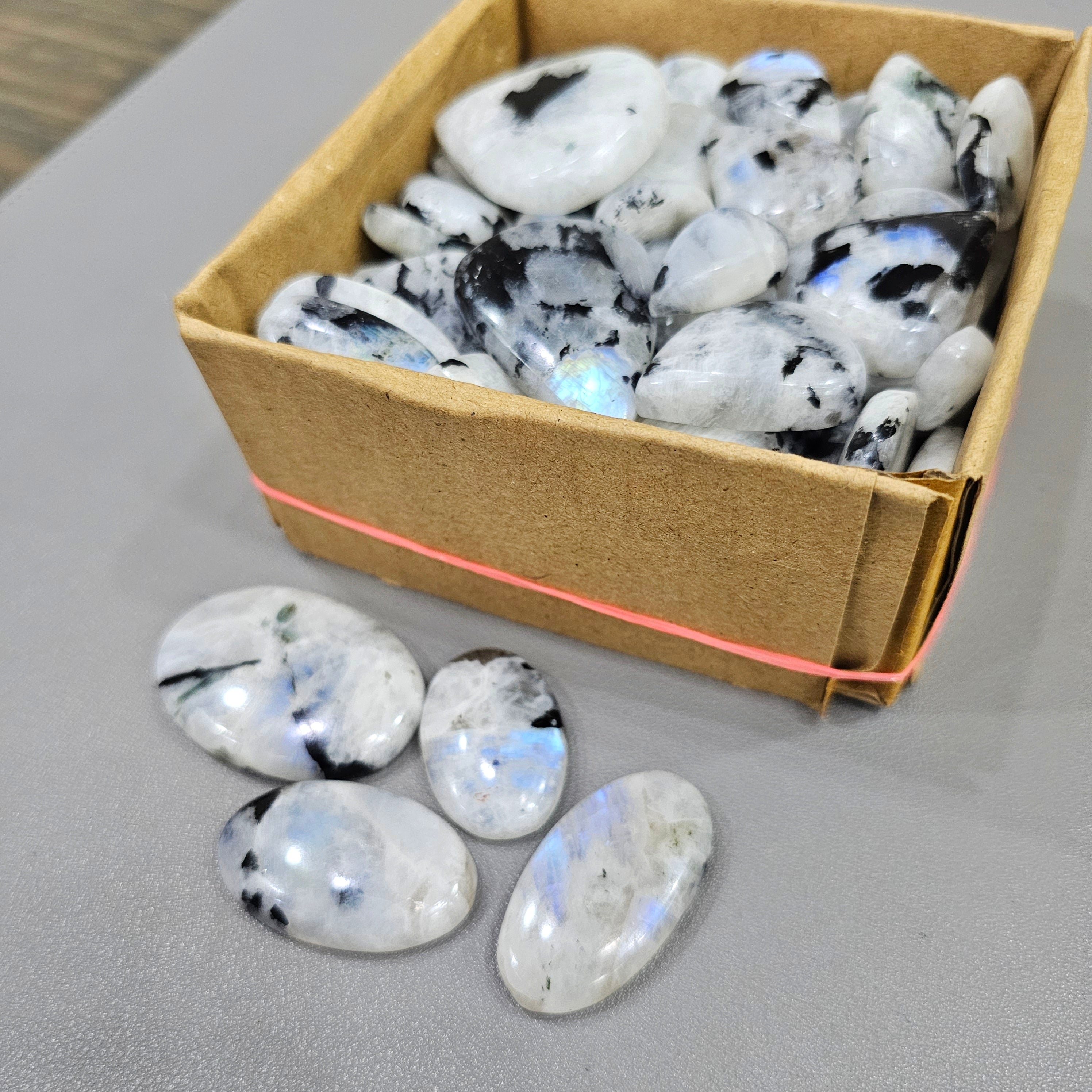 500Gram/ 1KG of Rainbow Moonstone with black Tourmaline Cabochon | Blue Flashs | 1" to 2" Inches | 90-110Pcs - The LabradoriteKing