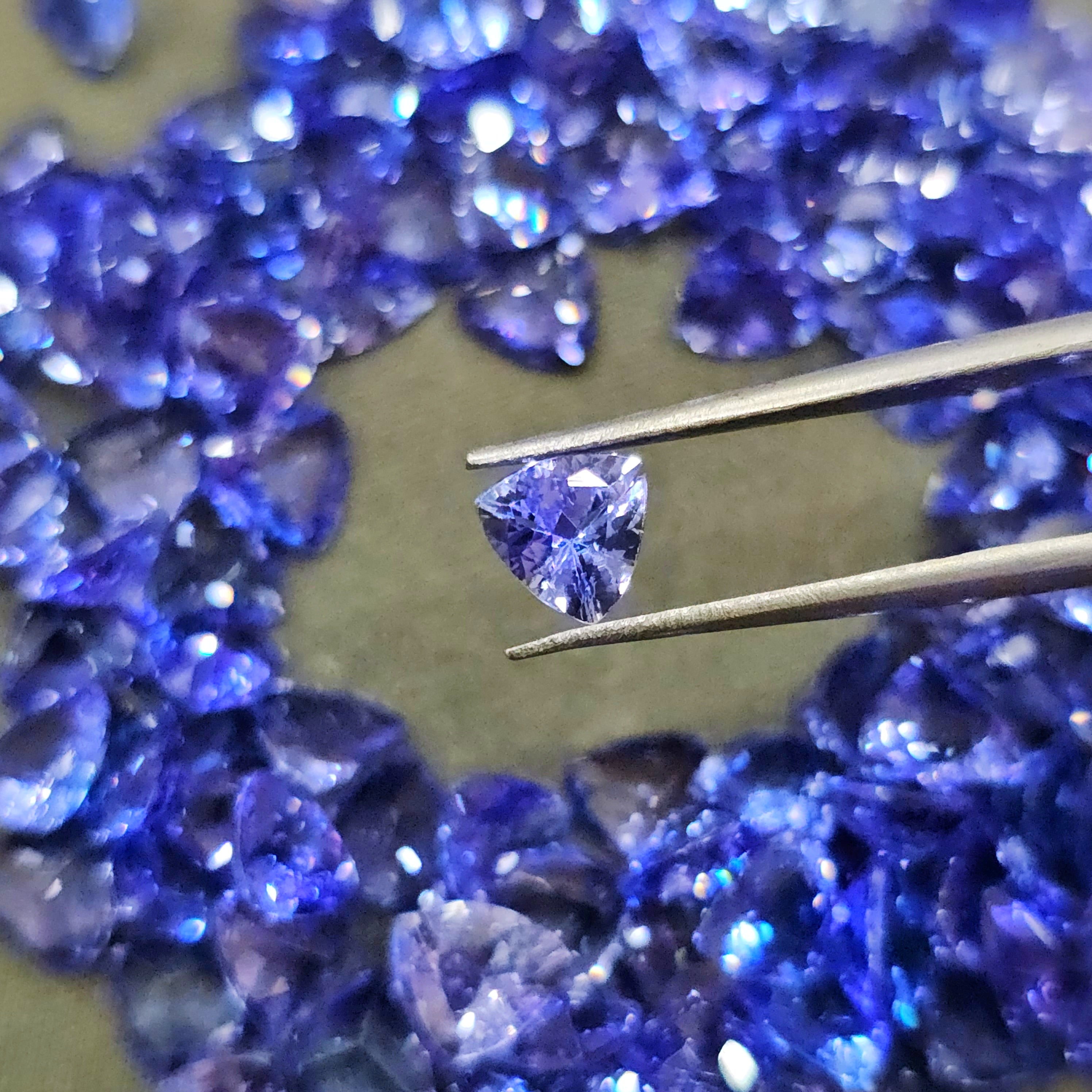 2 Pcs of Tanzanite 6mm Trillion | AAA Quality - The LabradoriteKing