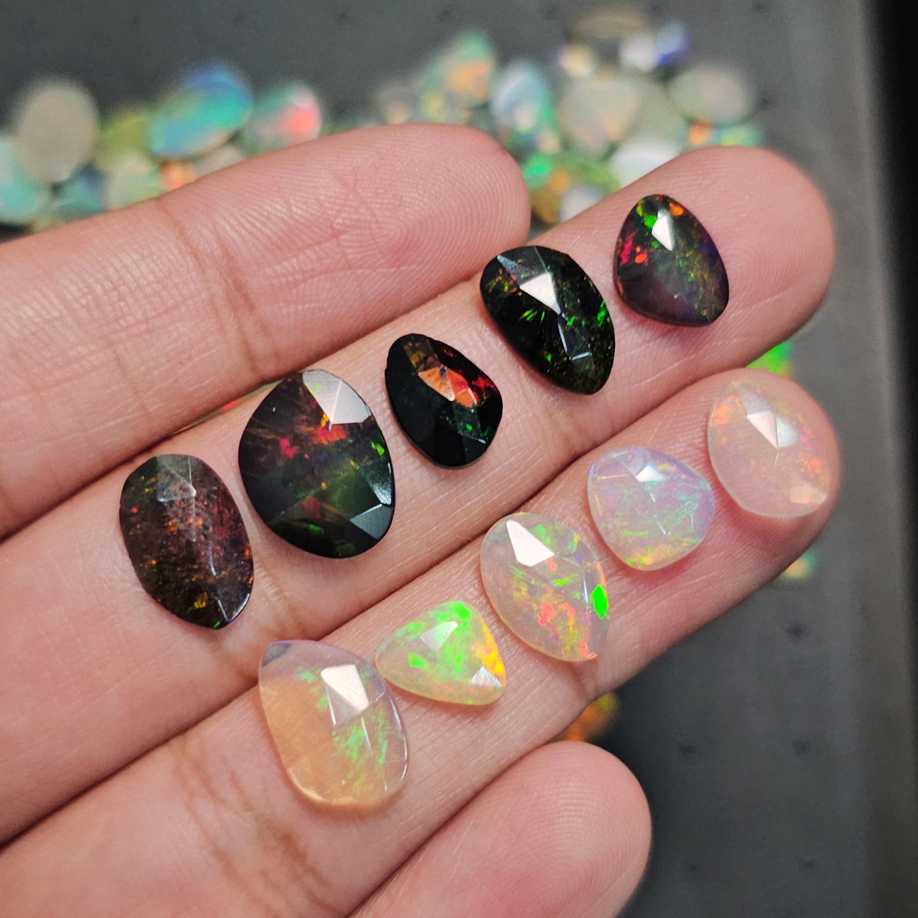 10 Pcs Opal Rosecut Black and White | 9-10mm Sizes | 30% OFF