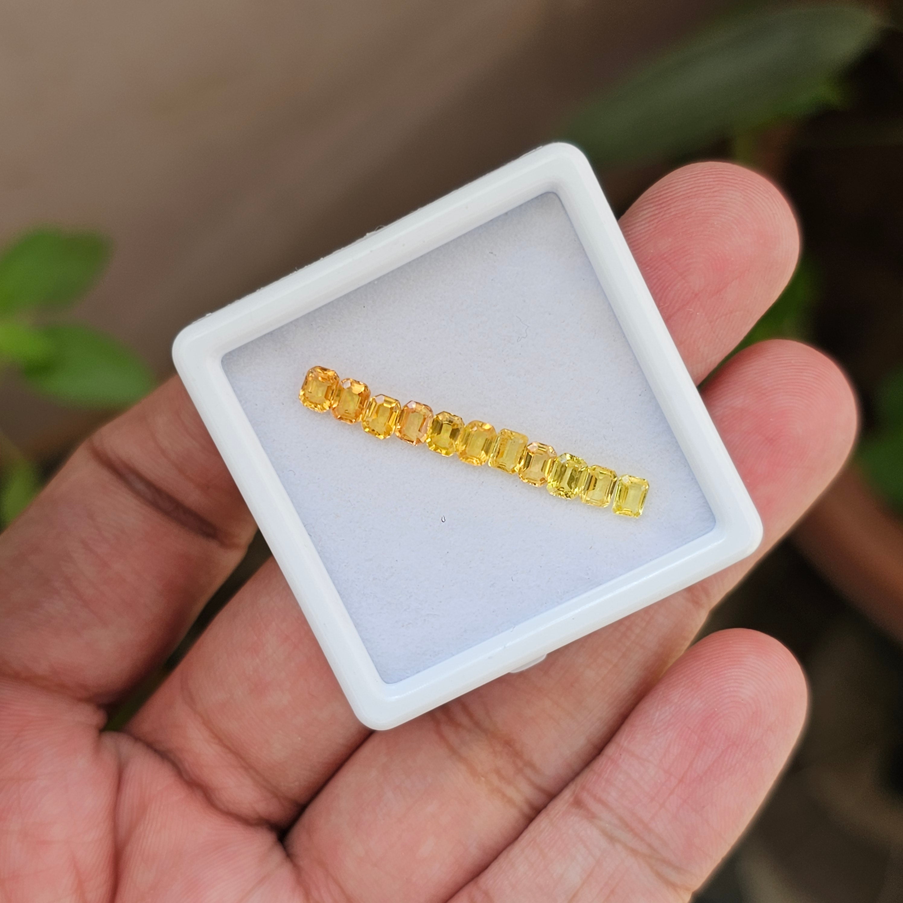 11 Pcs Natural Yellow Sapphire|Rectangle Shape|4x3mm - The LabradoriteKing