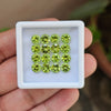 16 Pcs Natural Peridot | Round Shape| 6mm|14.2 Cts