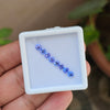 8 Pcs Natural Tanzanite |Round Shape|4mm|2.5 Cts | AA Quality - The LabradoriteKing