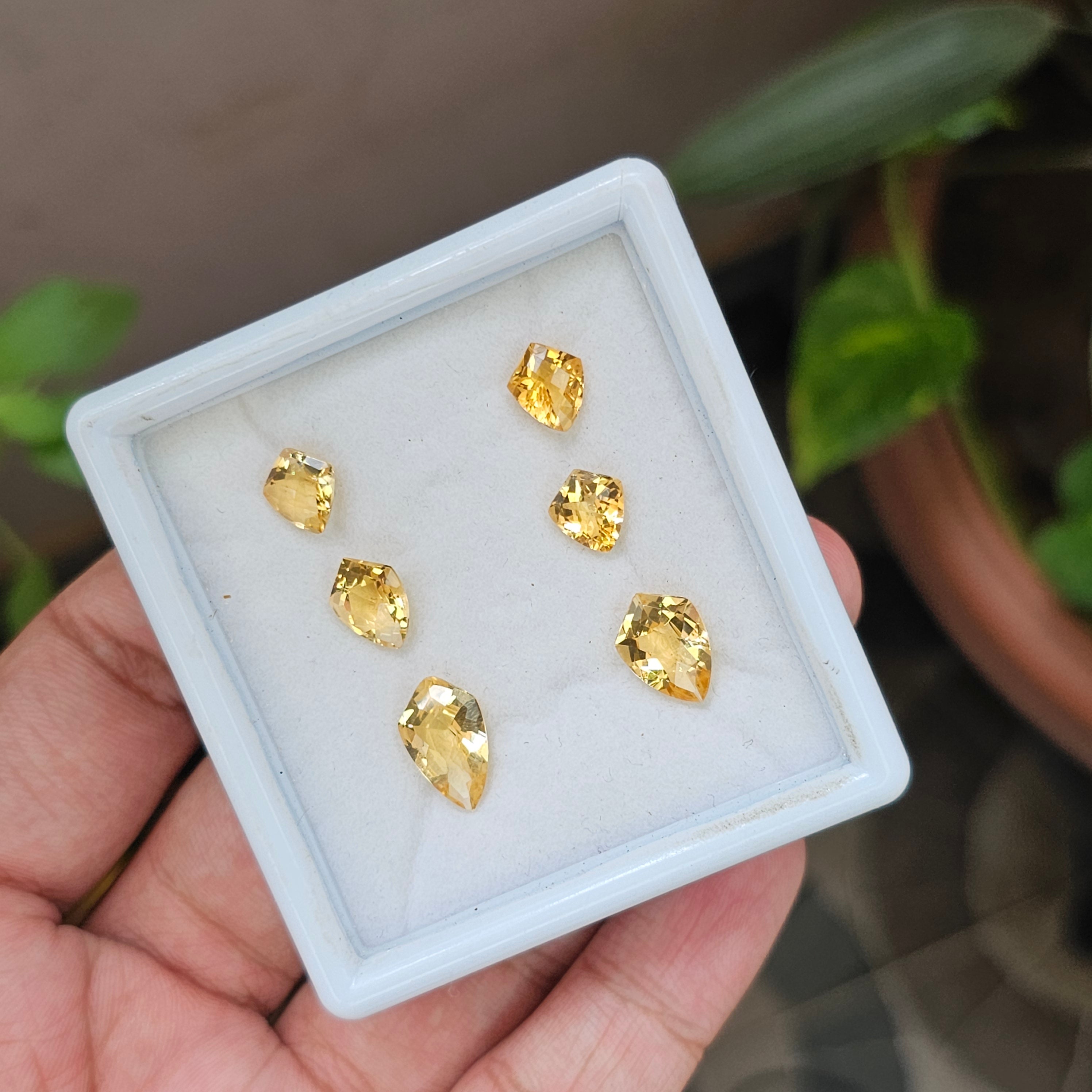 6 Pcs Natural Citrine | Fancy Shape| 8-13mm|10.5 Cts - The LabradoriteKing