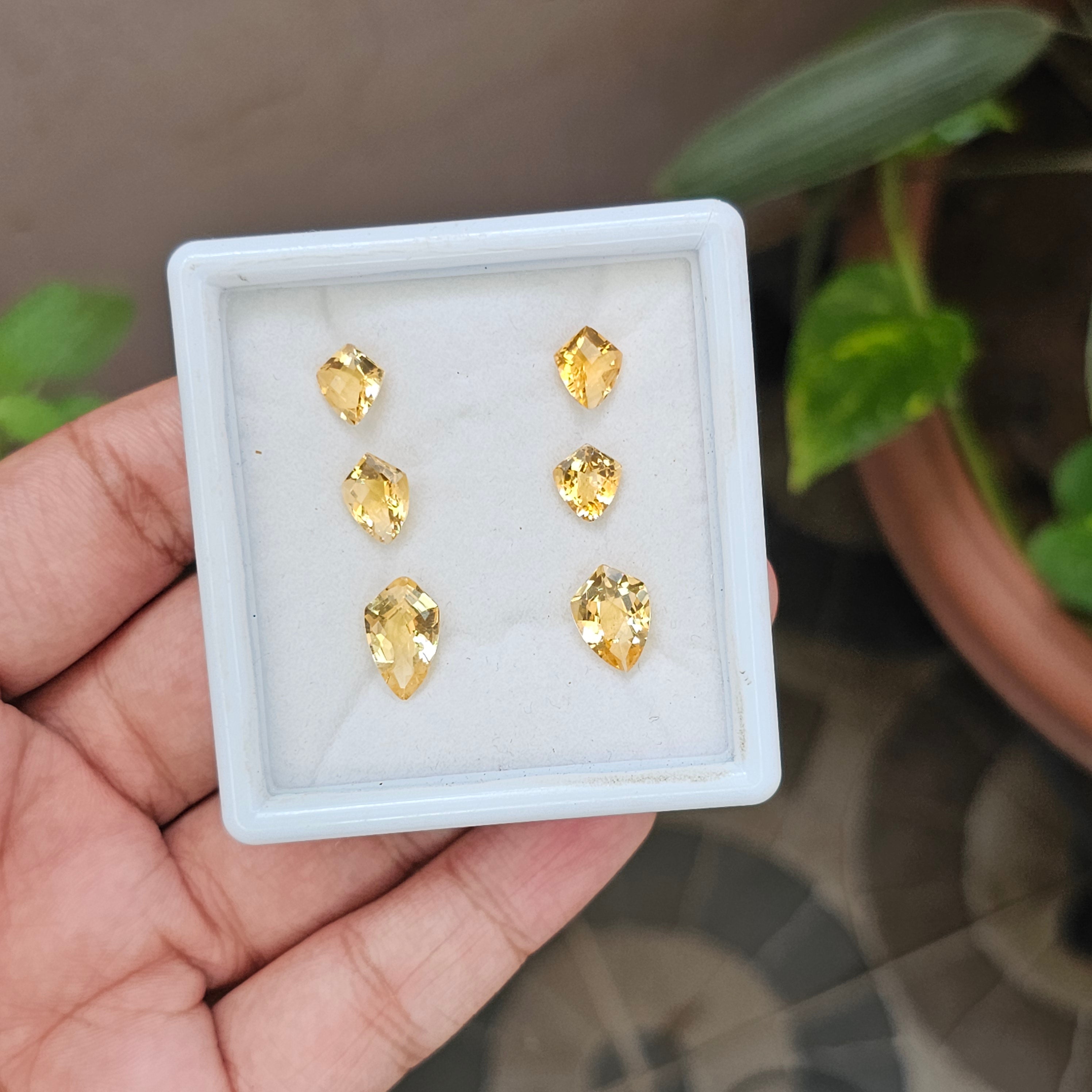 6 Pcs Natural Citrine | Fancy Shape| 8-13mm|10.5 Cts - The LabradoriteKing