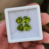 4 Pcs Natural Peridot |Trillion Shape| 9mm|10.4 Cts - The LabradoriteKing