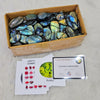 Wholesale🔥 Labradorite Cabochons V2.0 | Flashy High quality slabs 1-3"Inches | 80-100 pcs - The LabradoriteKing