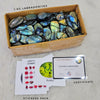 Wholesale🔥 Labradorite Cabochons V2.0 | Flashy High quality slabs 1-3"Inches | 80-100 pcs