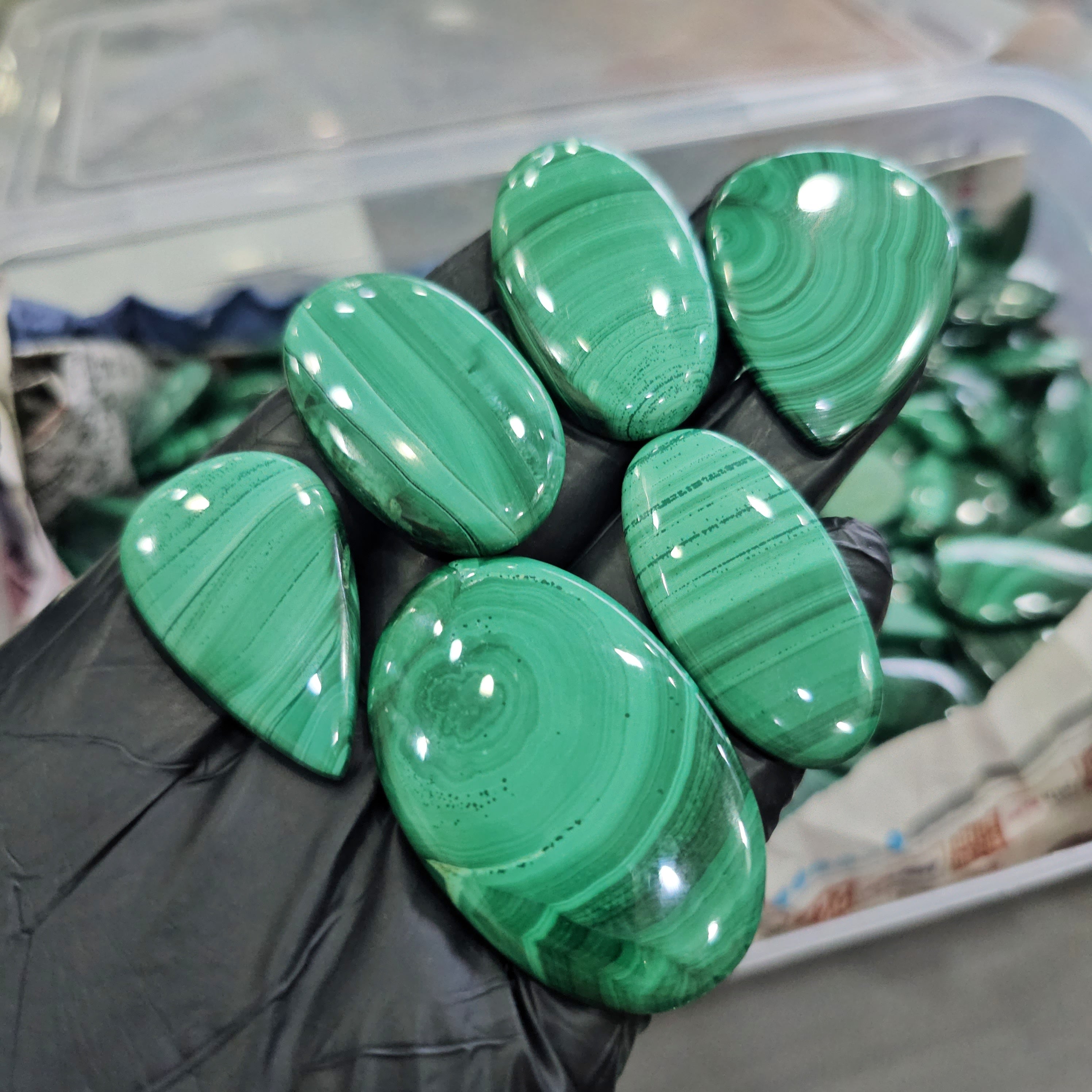 500 Grams Natural Light Lace Green Malachite  | 18–55mm | 40–50 Pcs | Polished Cabs