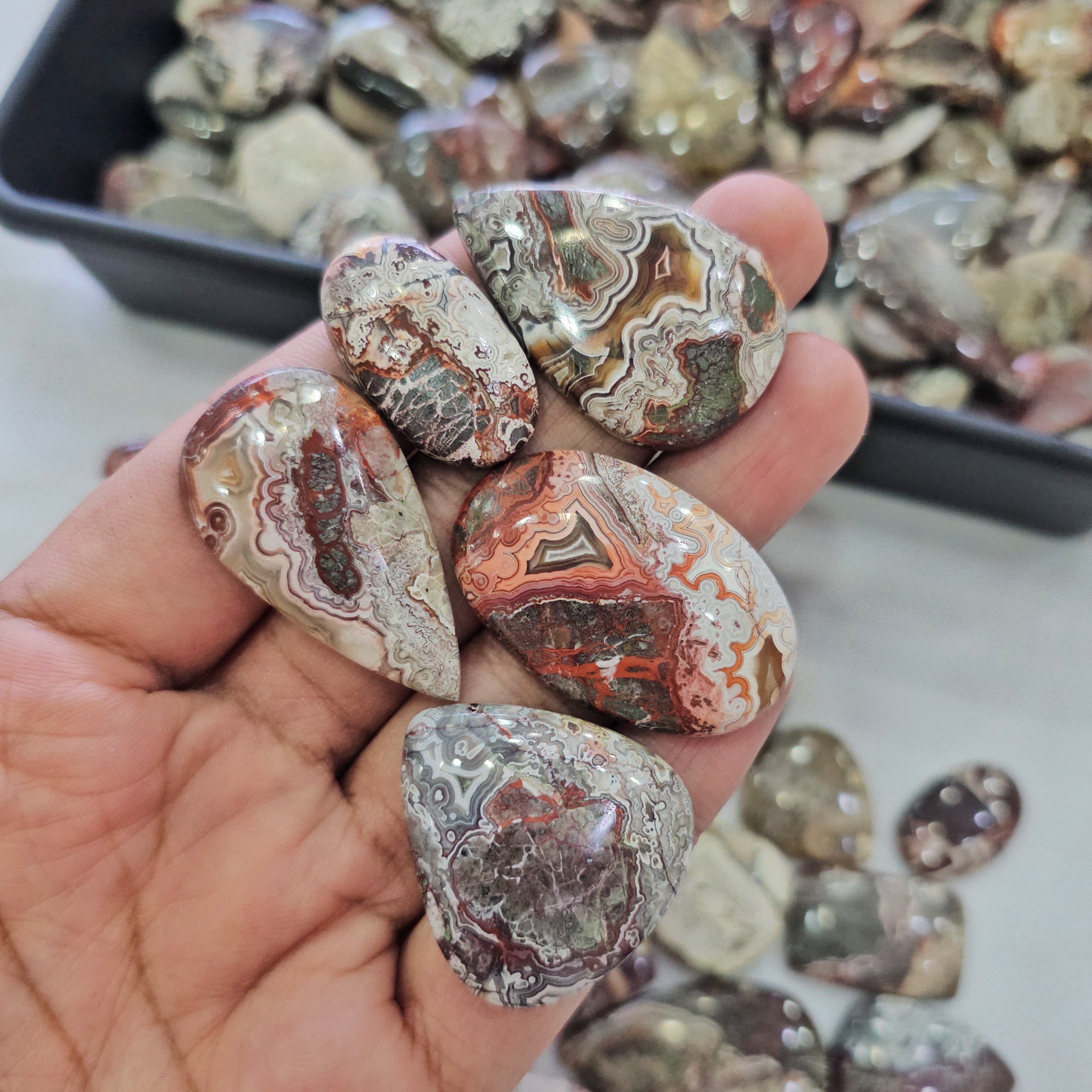 500 Grams of Natural Mexican Crazy Lace Agate Cabochons | 22–45mm | 50–70 Pcs